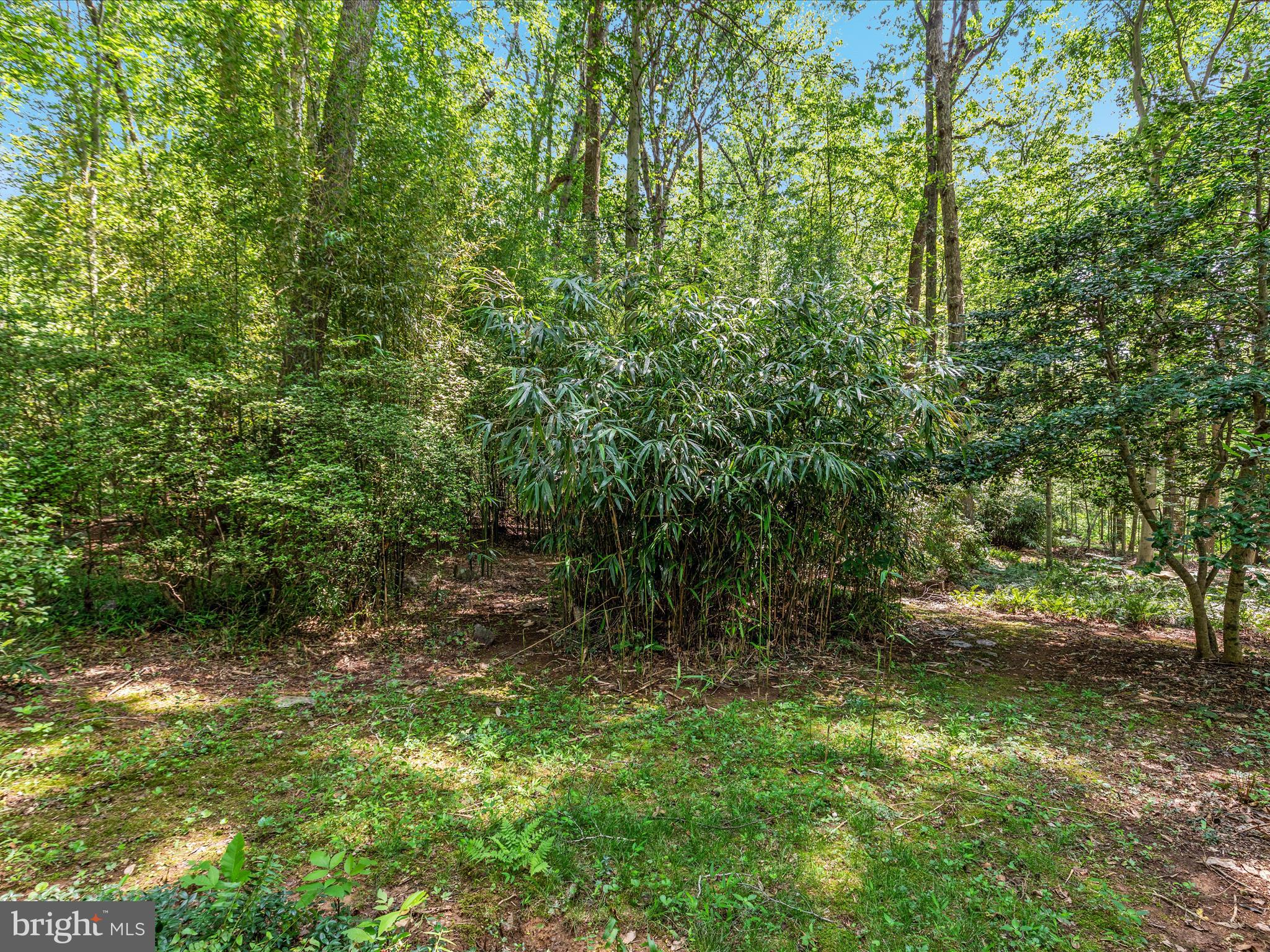 EDGELEA - Residential