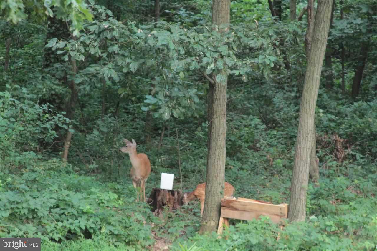 PLEASANT VALLEY GOLF COURSE - Residential