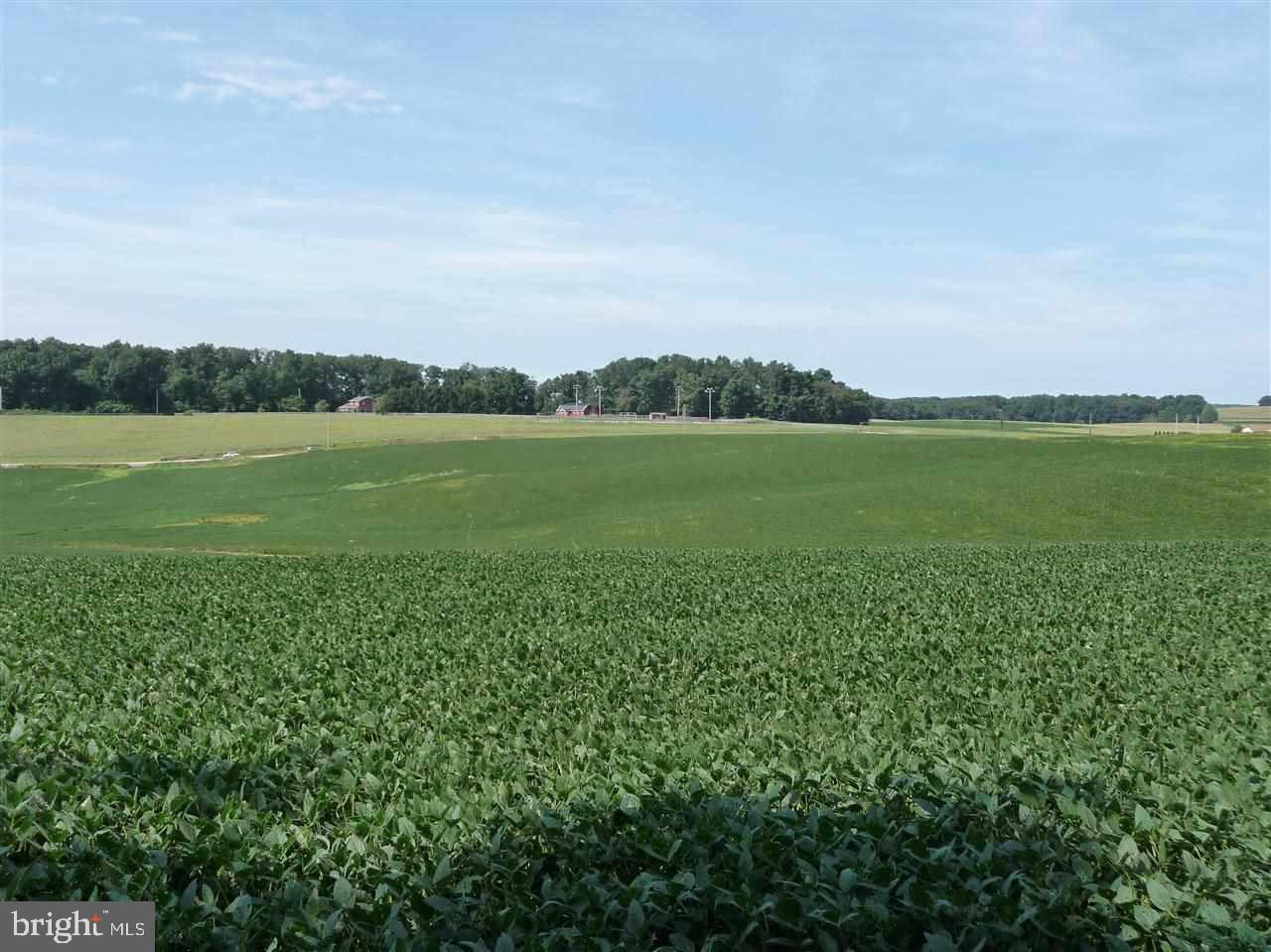 PLEASANT VALLEY GOLF COURSE - Residential