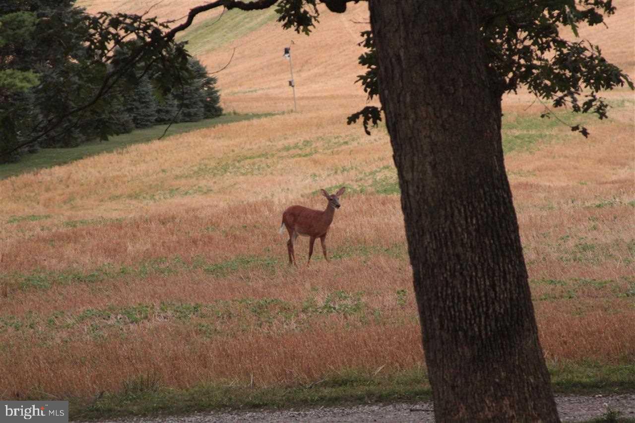 PLEASANT VALLEY GOLF COURSE - Residential
