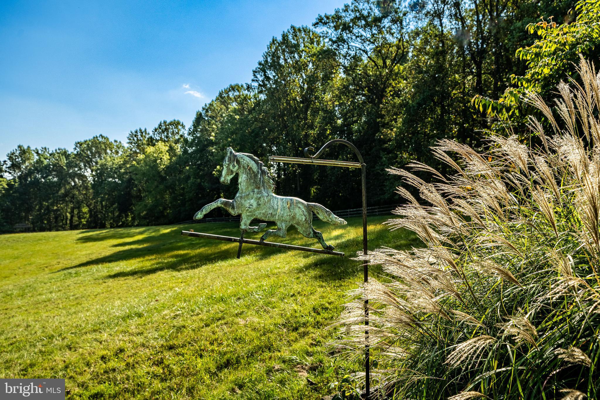 BRANDYWINE HUNT - Residential