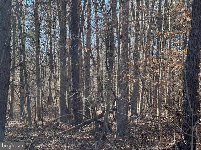 DARNESTOWN OUTSIDE - Land