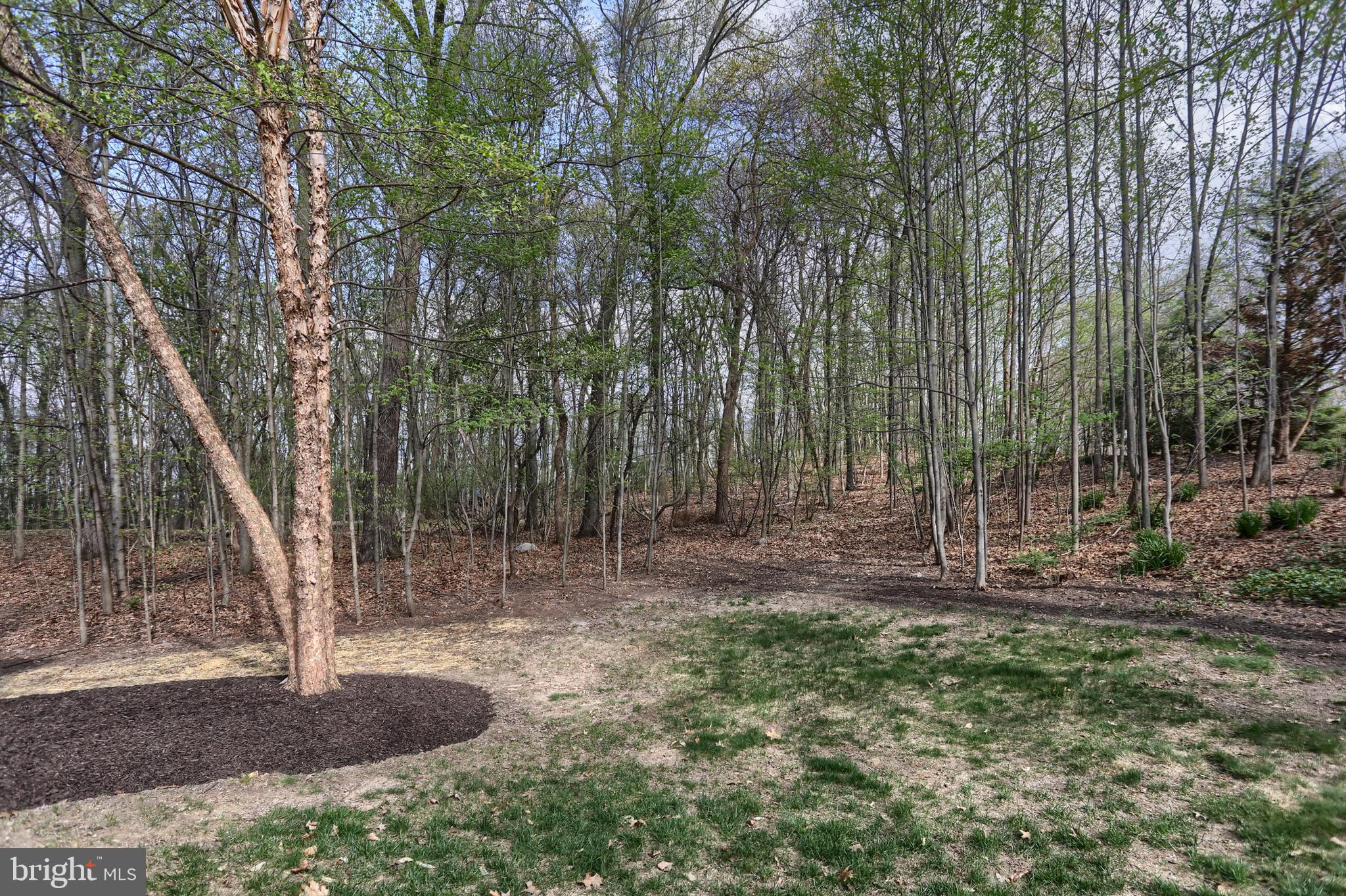 IRON VALLEY EST/ PHASE4 - Residential