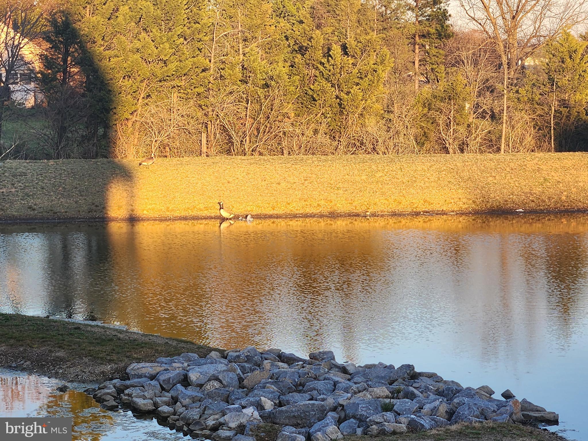 FREEDOM MANOR - Residential