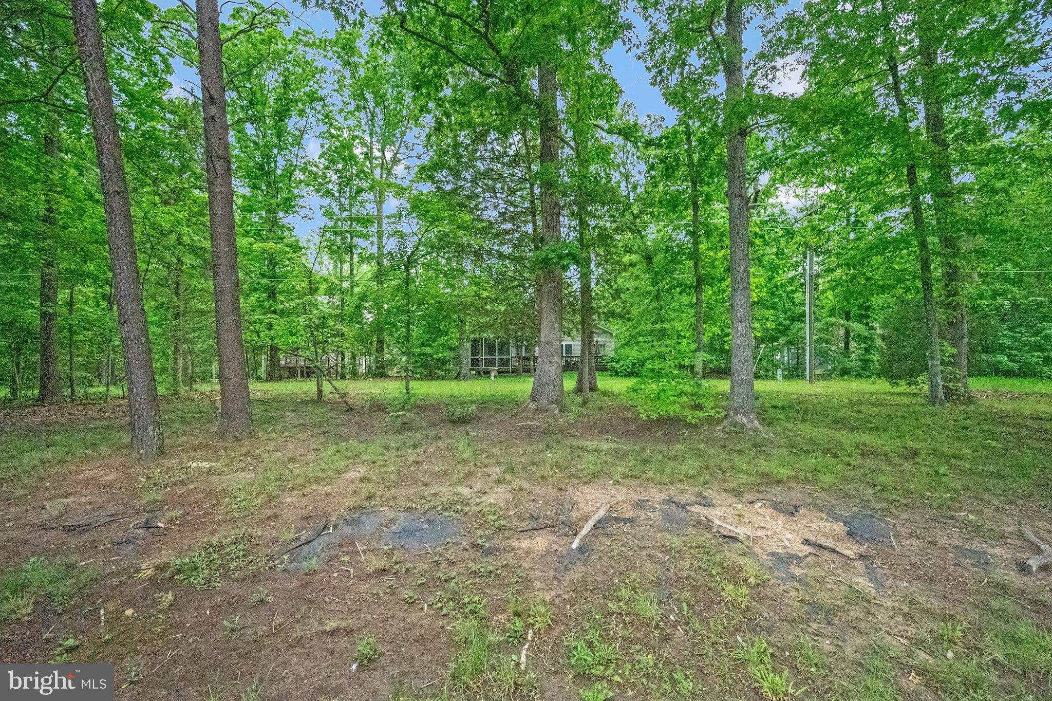 LAKE OF THE WOODS - Residential