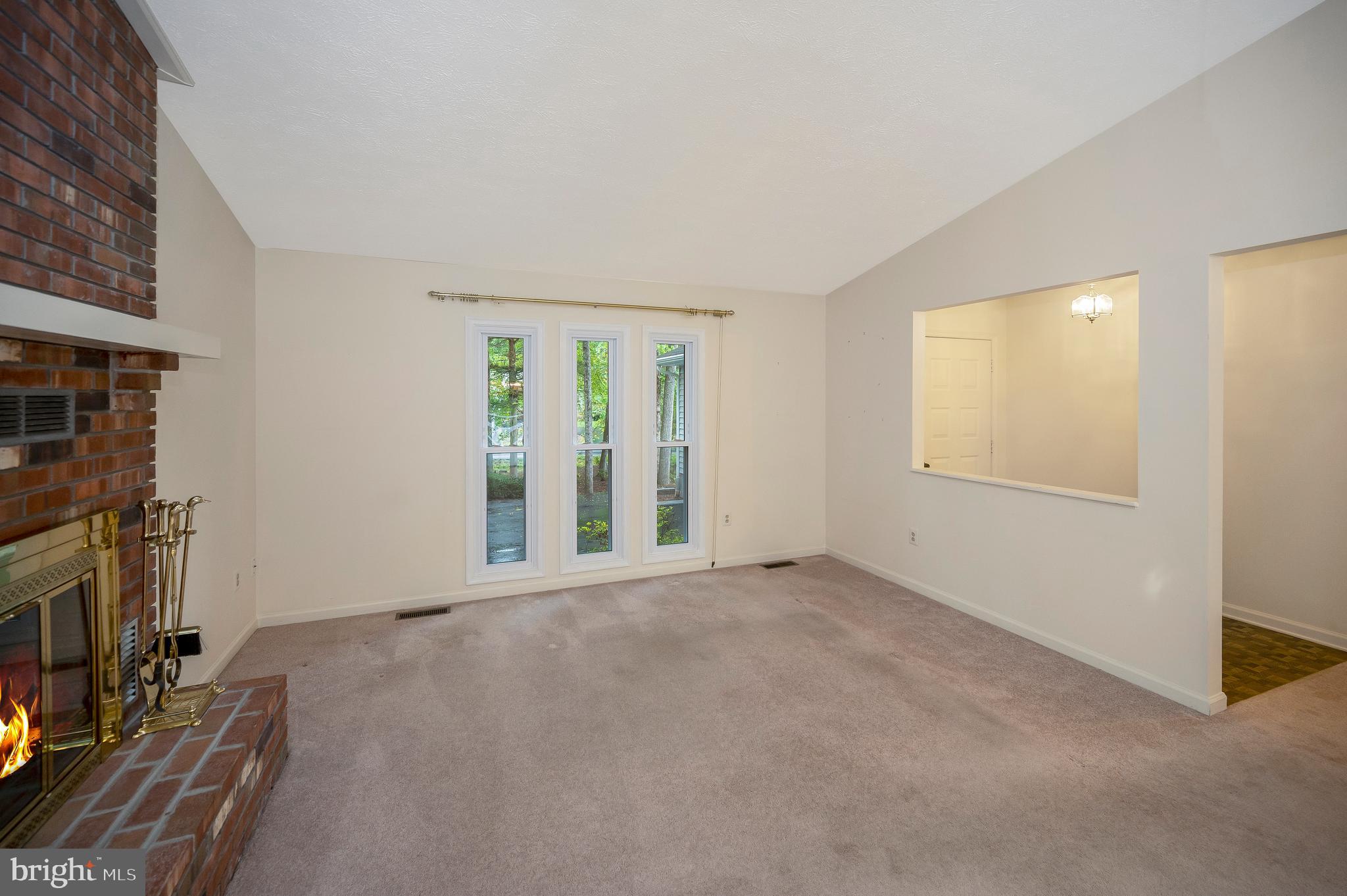 LAKE OF THE WOODS - Residential