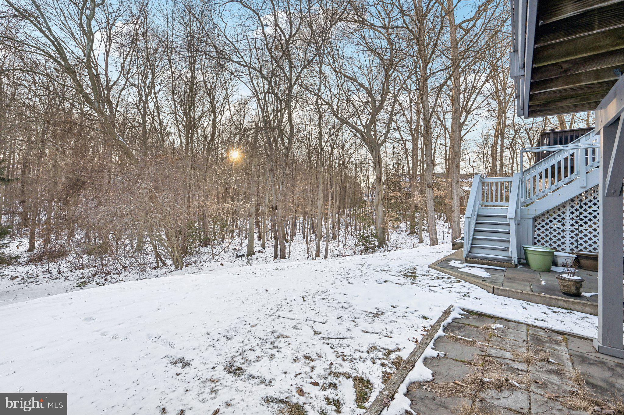 BRISTOL FOREST - Residential