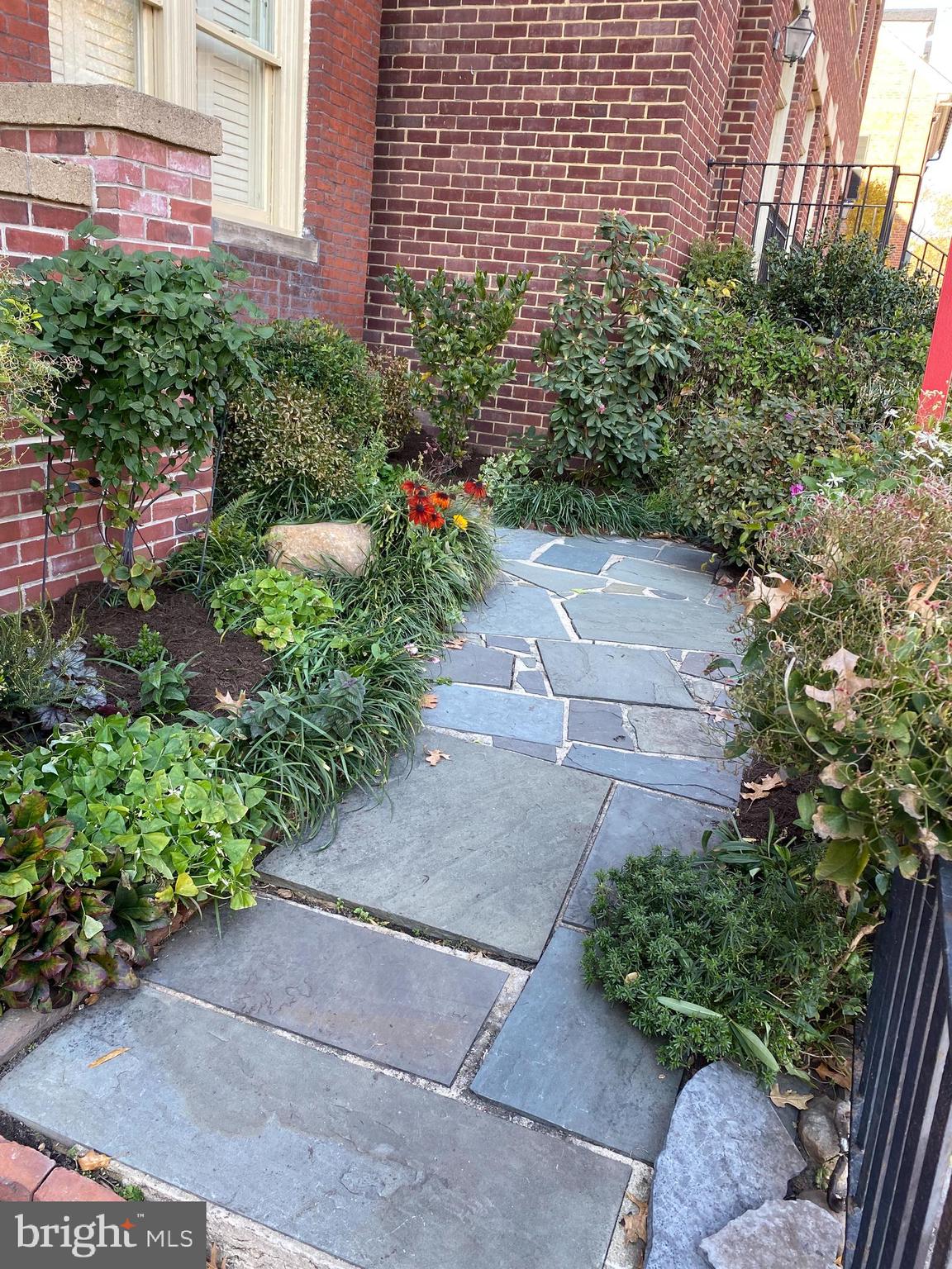 OLD TOWN ALEXANDRIA - Residential