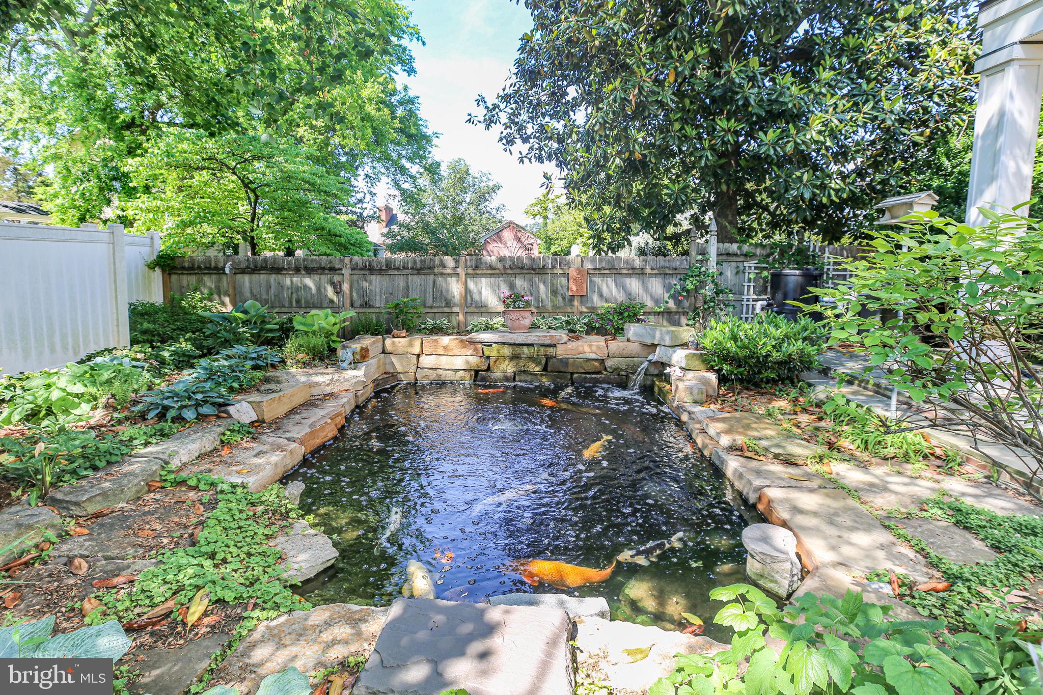 DOWNTOWN FREDERICKSBURG - Residential