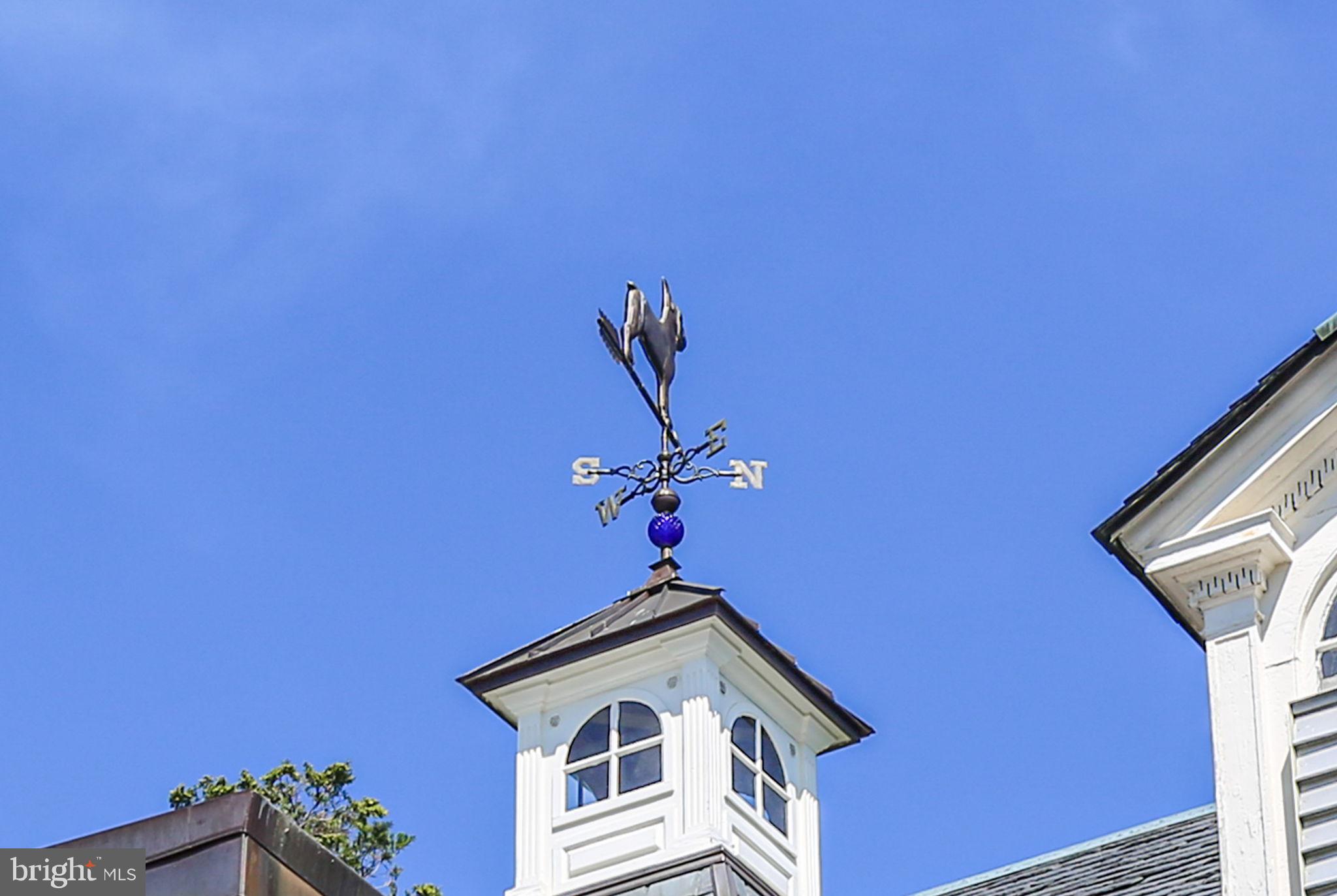 DOWNTOWN FREDERICKSBURG - Residential