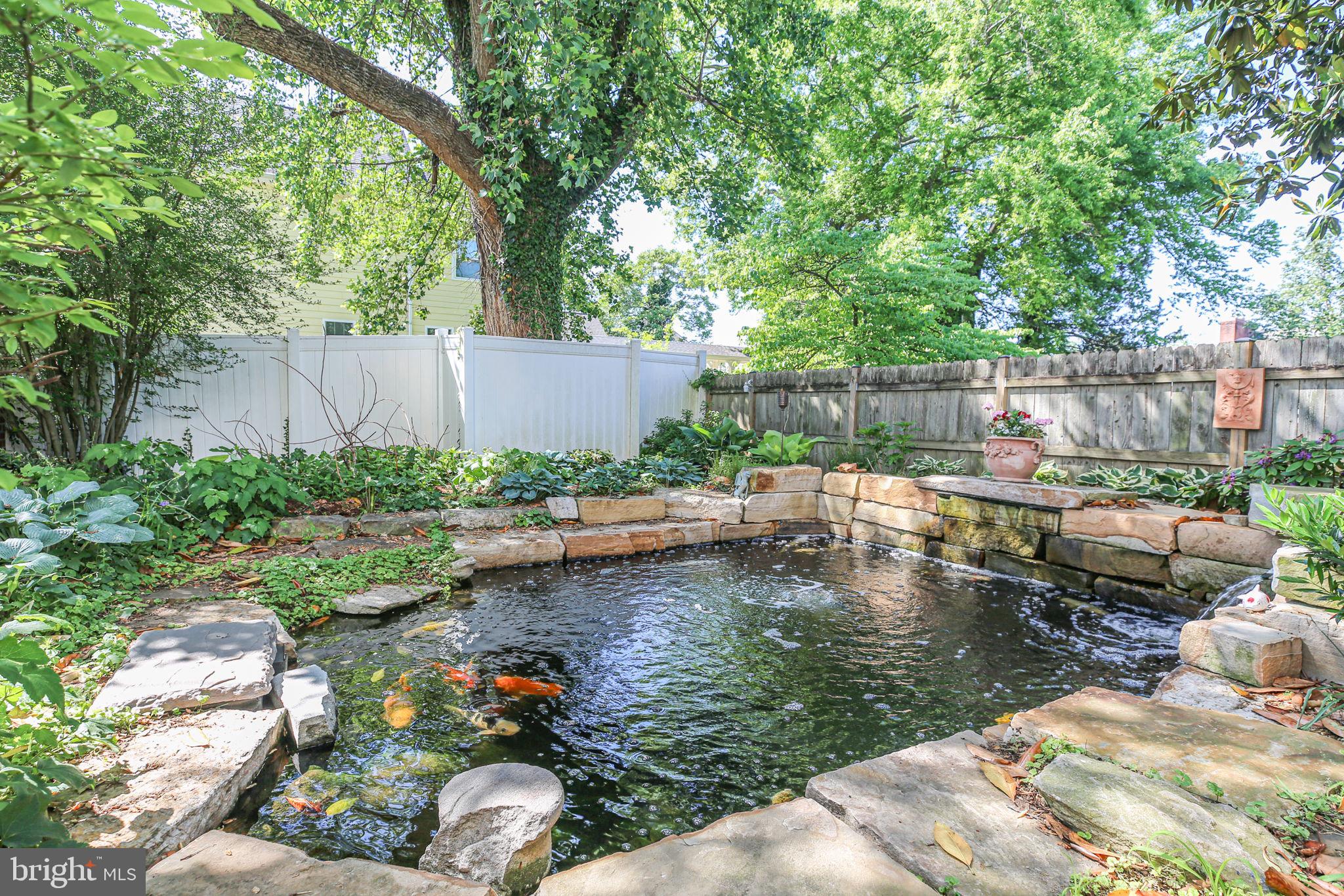 DOWNTOWN FREDERICKSBURG - Residential