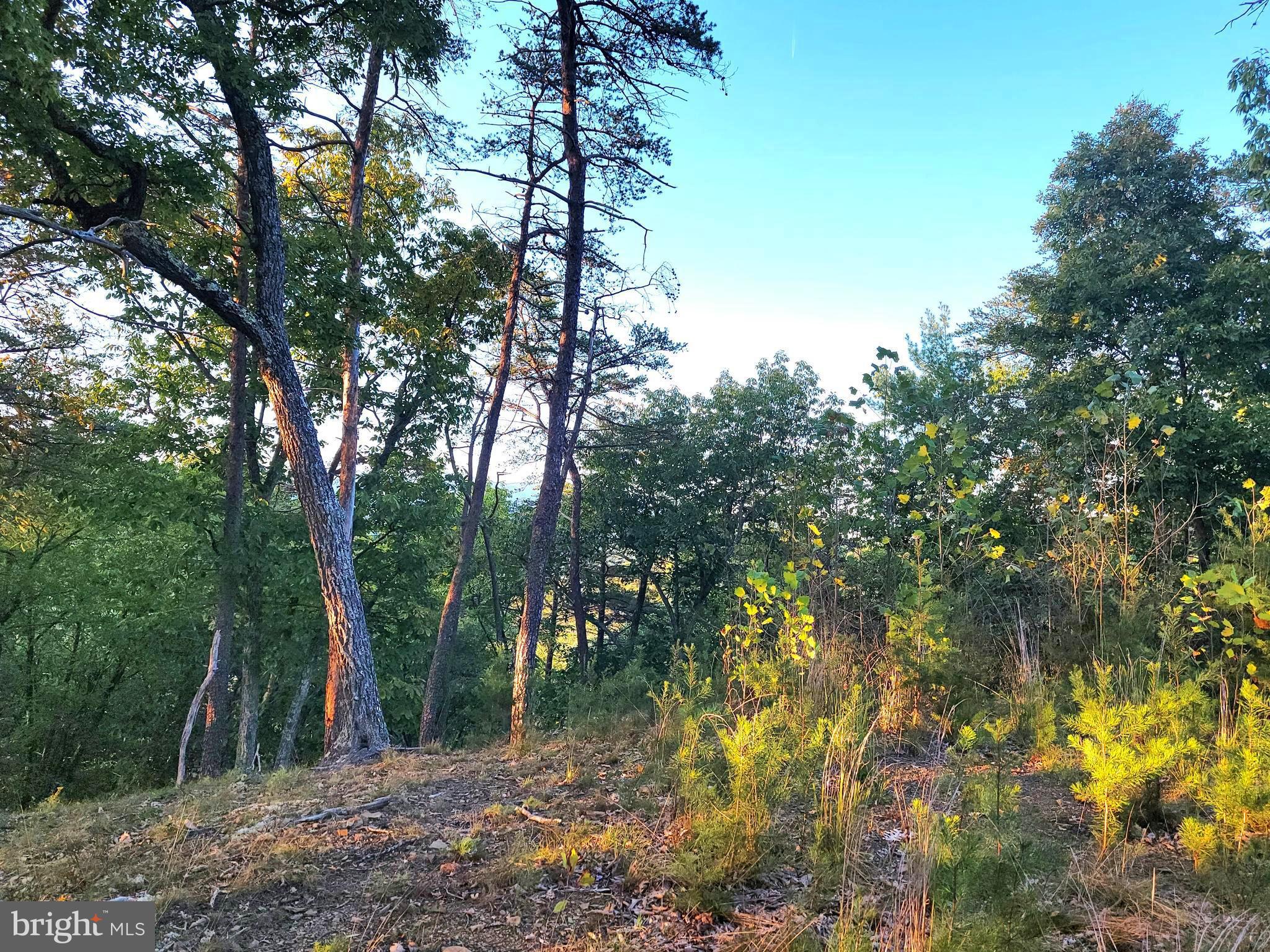 POTOMAC VALLEY OVERLOOK - Land