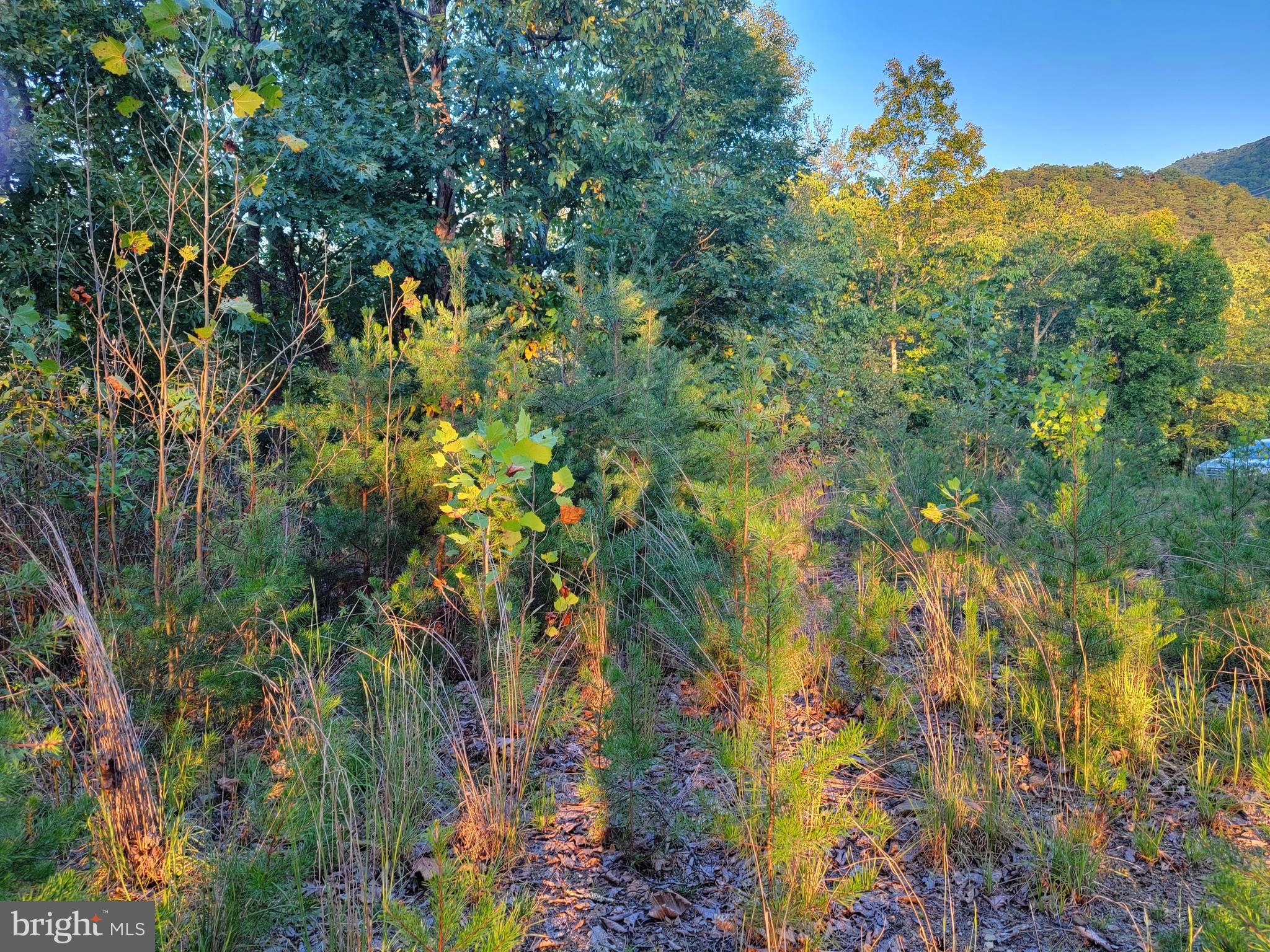 POTOMAC VALLEY OVERLOOK - Land