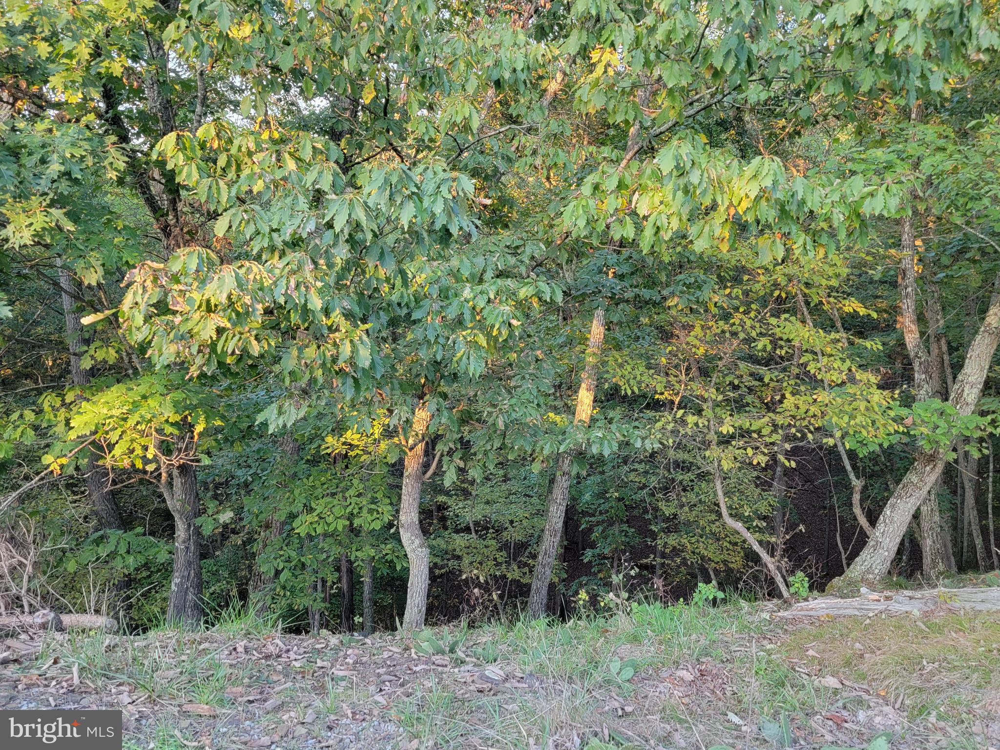 POTOMAC VALLEY OVERLOOK - Land