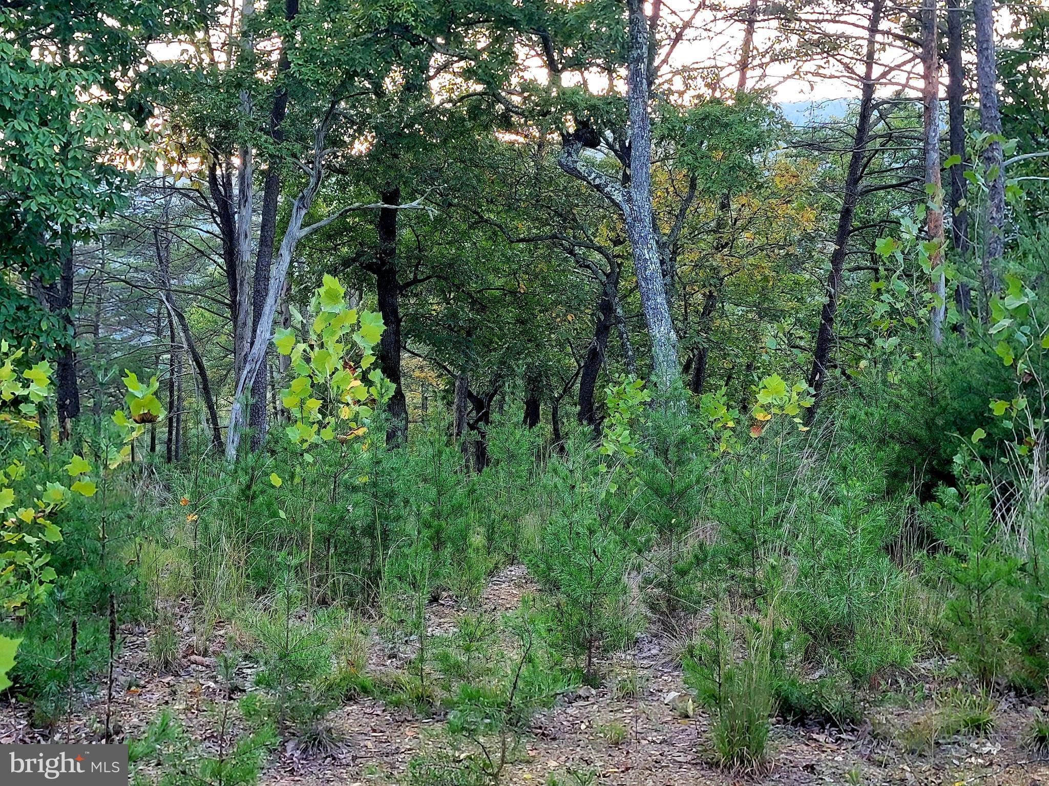POTOMAC VALLEY OVERLOOK - Land