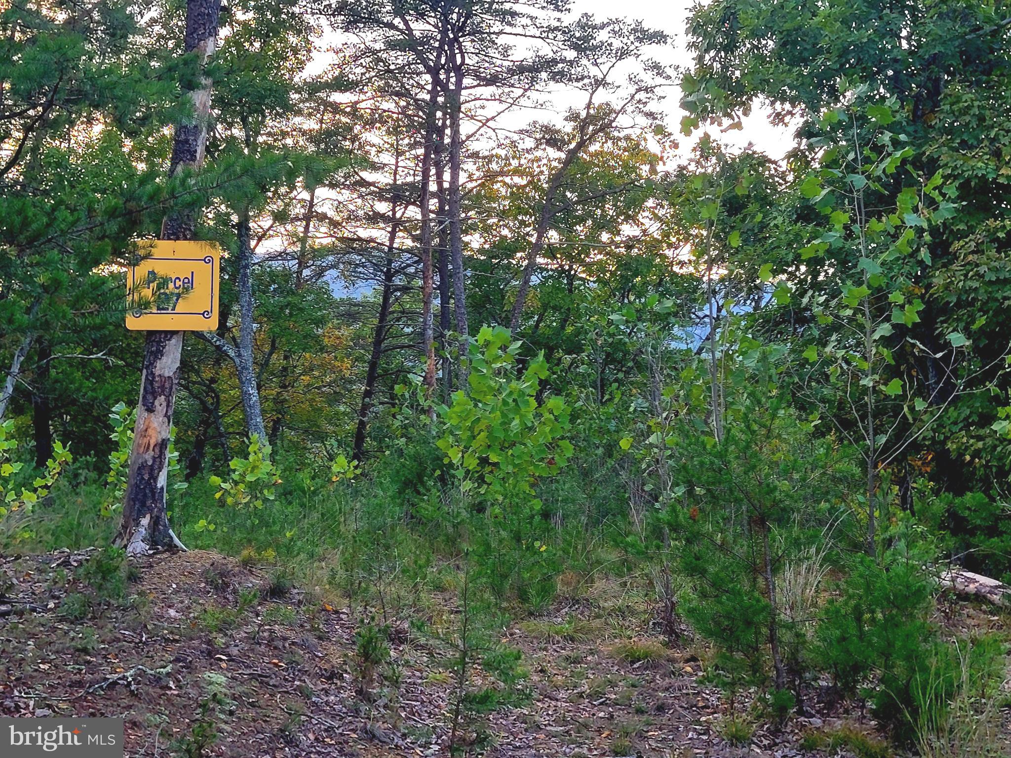 POTOMAC VALLEY OVERLOOK - Land