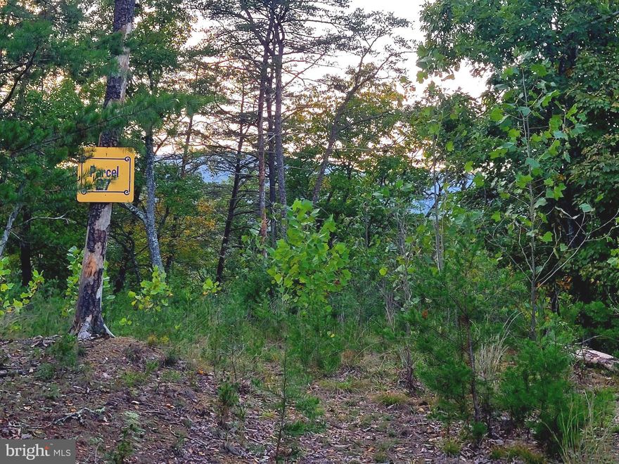 PRICED TO SELL! Call today to see this lot with a little over 8 acres located in the beautiful mountains of Milam, West Virginia. Being a lot owner in the gated Potomac Valley Overlook allows you access to community amenities such as a 4 acres park area that has a pavilion with a kitchen and restrooms. If you love exploring the outdoors beyond your own 8 acre backyard, the location is amazing. Drive in any direction and in less than a hour and half you will find an outdoor adventure tourist hot spot. You are centrally located to Spruce Knob, Bryce Mountain, Lost River State Park, and Seneca Rocks to name just a few and close by is the George Washington National Forest. Come build that dream get-away or forever home!