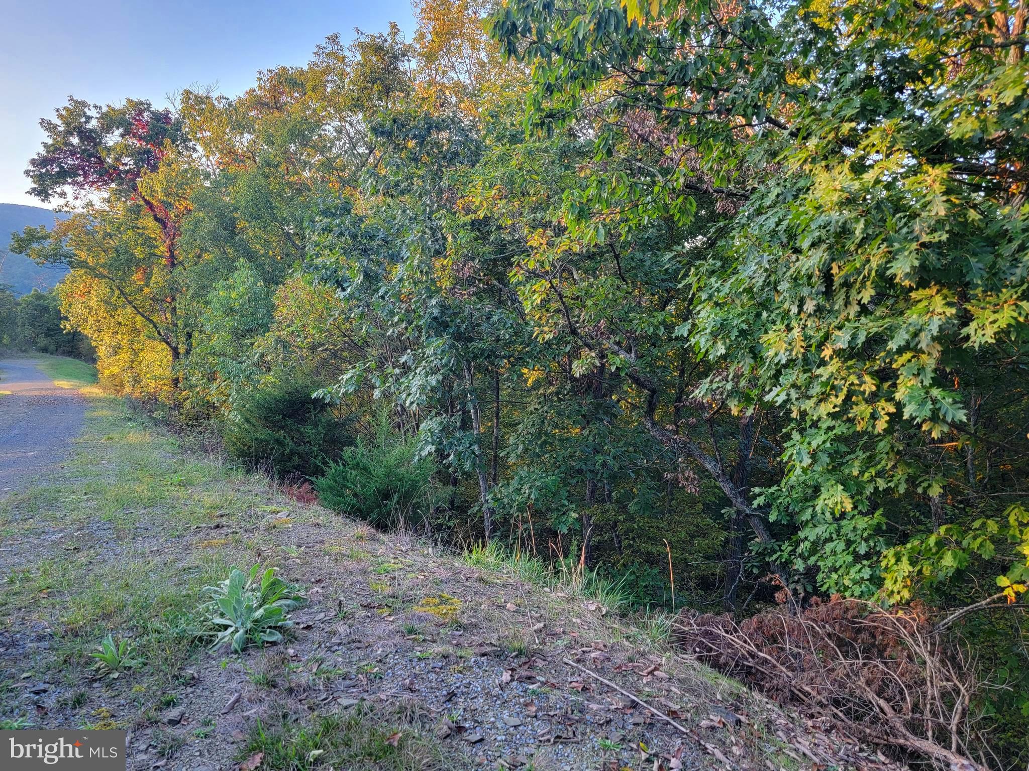 POTOMAC VALLEY OVERLOOK - Land