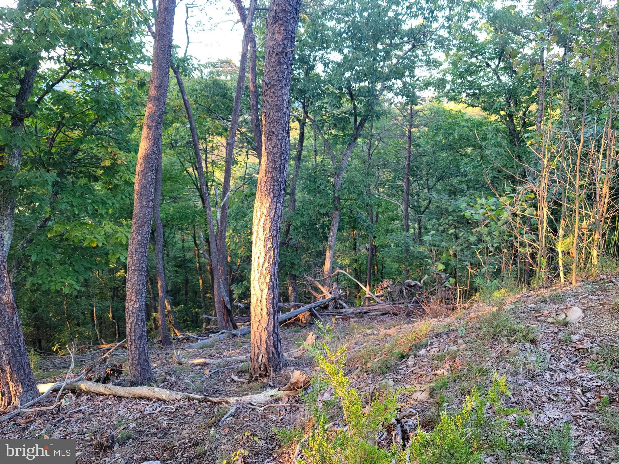 POTOMAC VALLEY OVERLOOK - Land