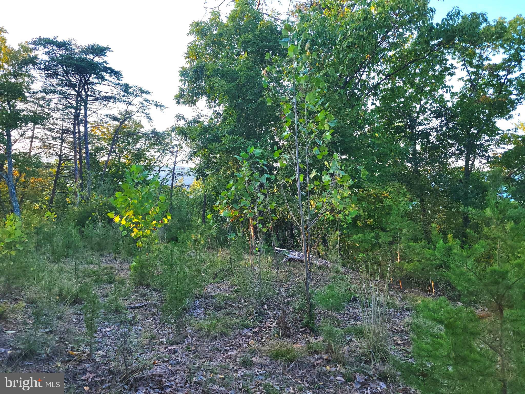 POTOMAC VALLEY OVERLOOK - Land