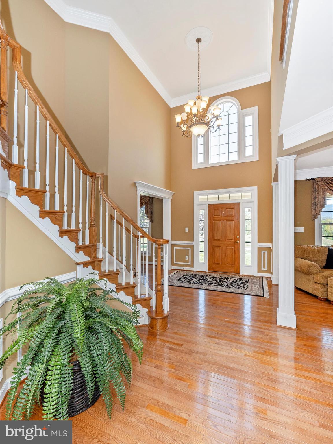 20615 WILDERNESS RUN