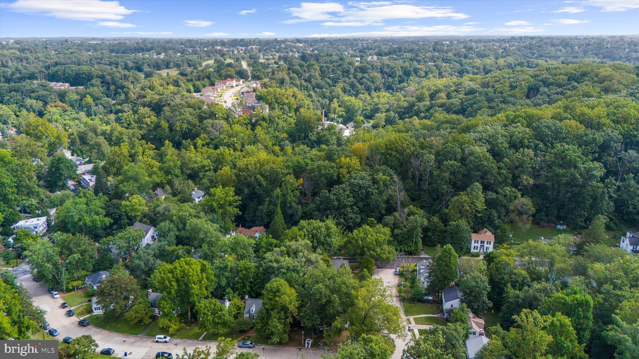 DICKEYVILLE HISTORIC DISTRICT - Residential