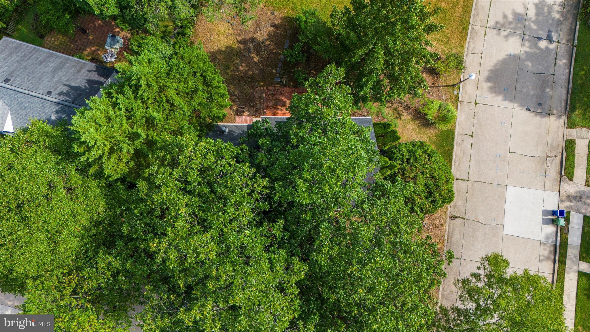 DICKEYVILLE HISTORIC DISTRICT - Residential