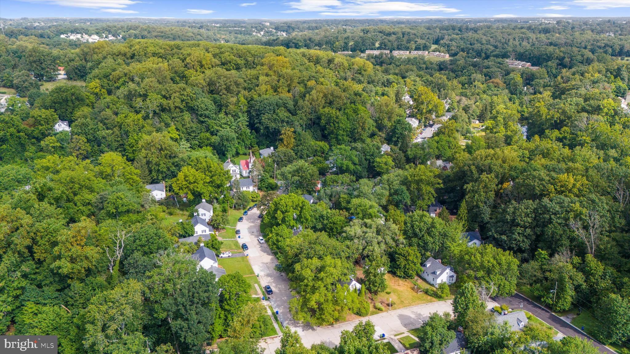 DICKEYVILLE HISTORIC DISTRICT - Residential