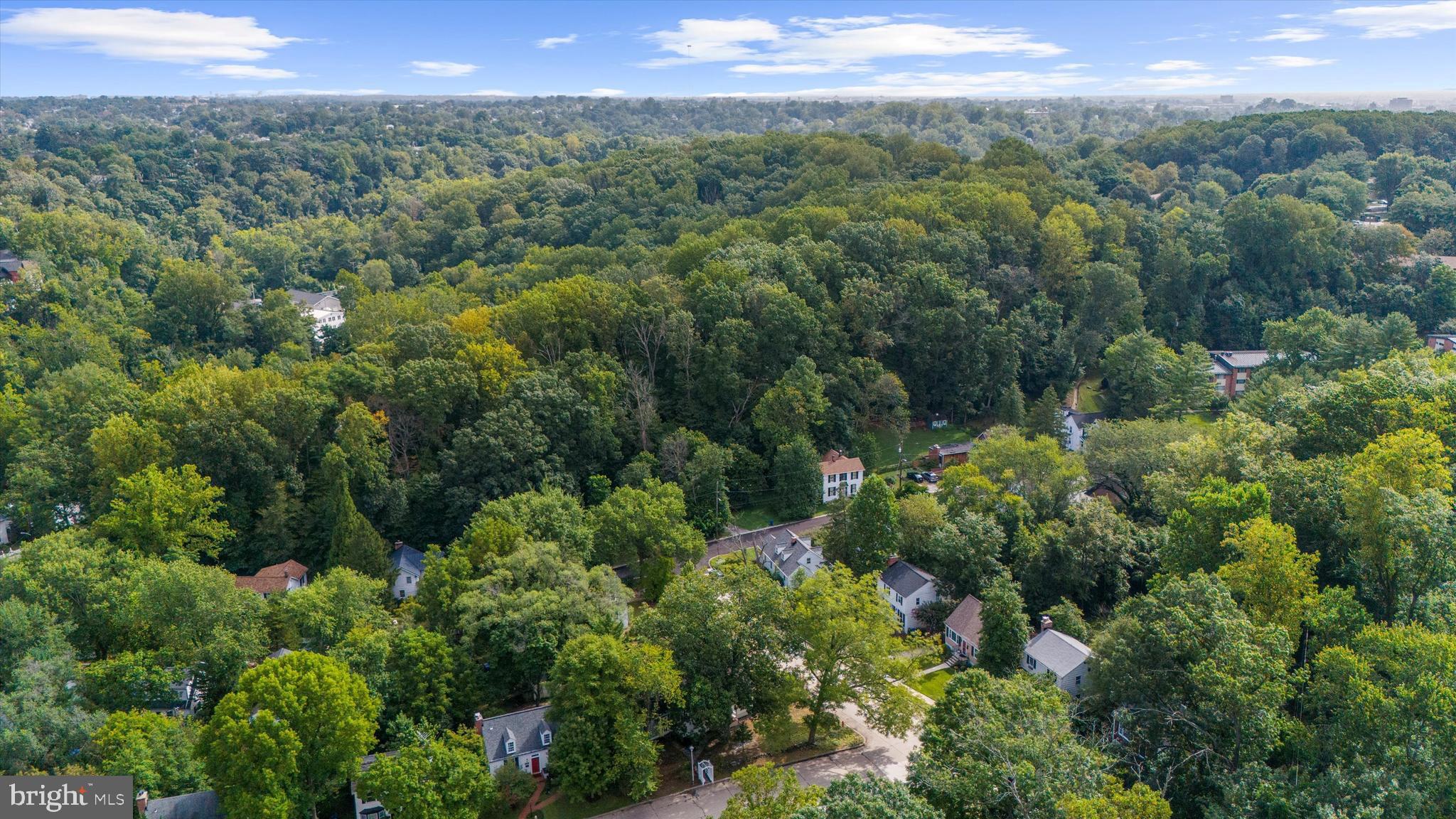 DICKEYVILLE HISTORIC DISTRICT - Residential