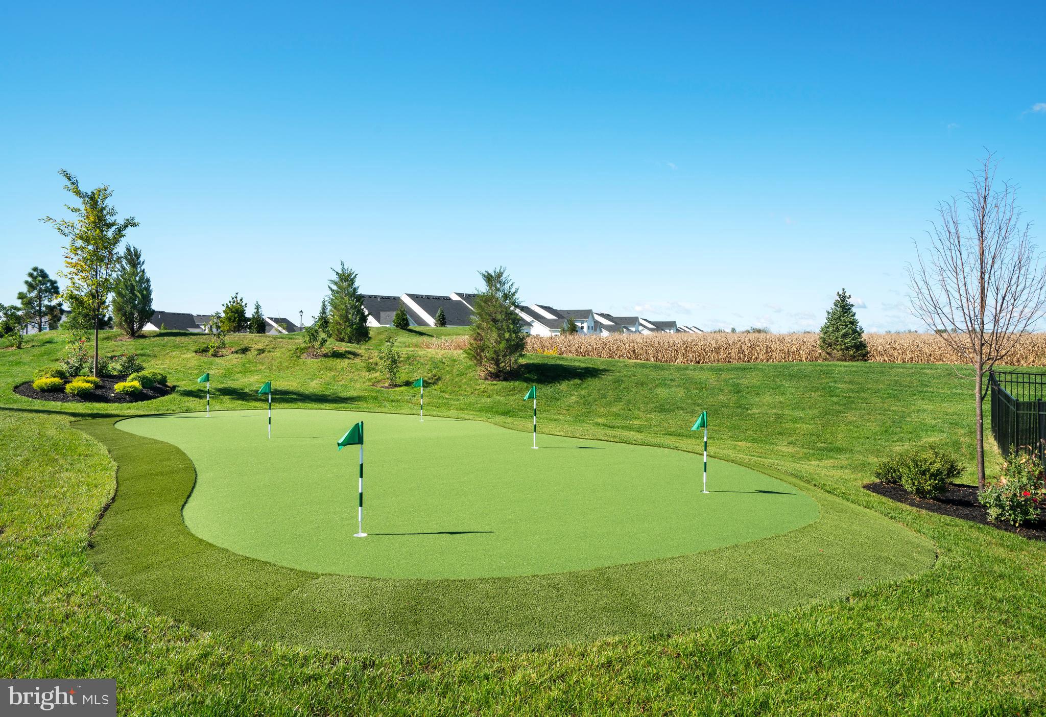REGENCY AT CREEKSIDE MEADOWS - Residential