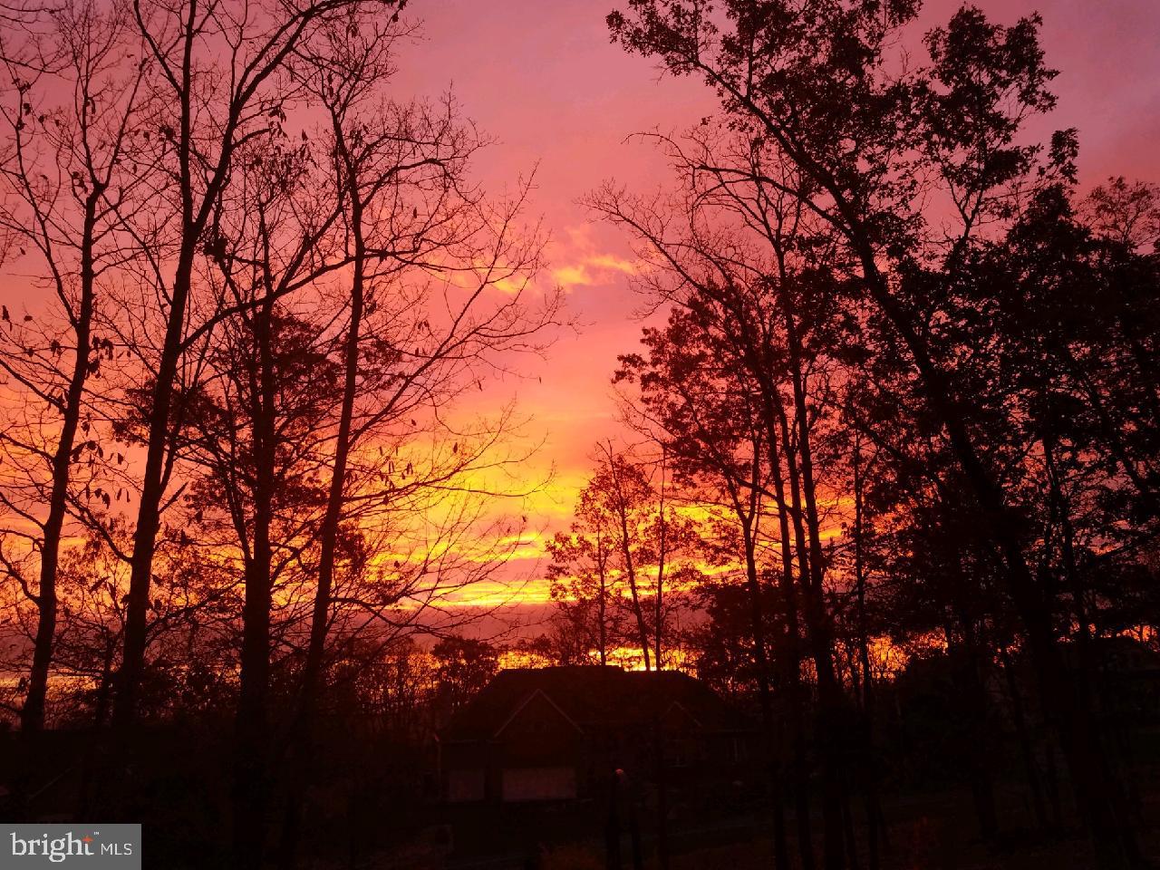 THE WOODS - Residential