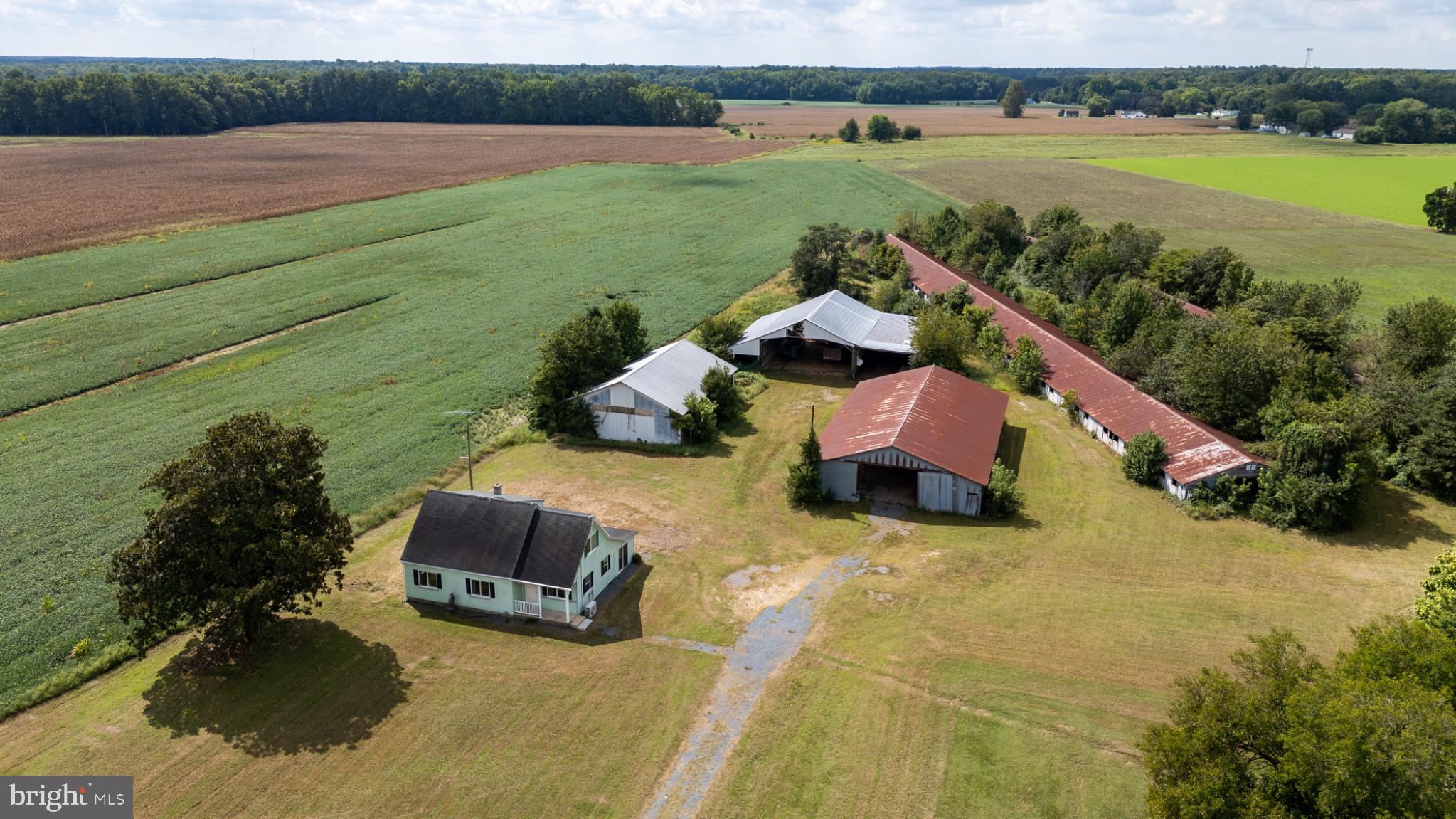 25699 AUCTION ROAD