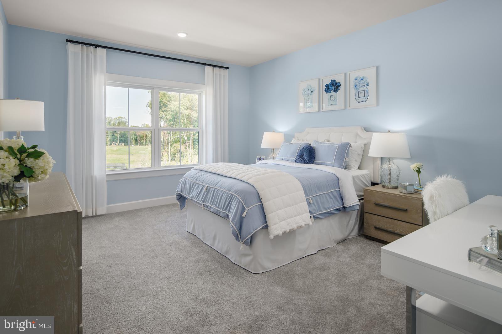 BRINTON LAKE ESTATES - Residential