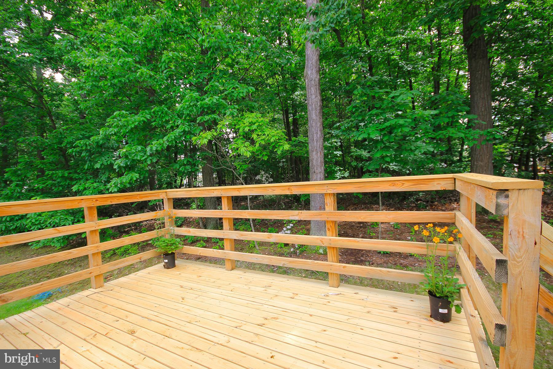 WOODFORD OAKS - Residential Lease