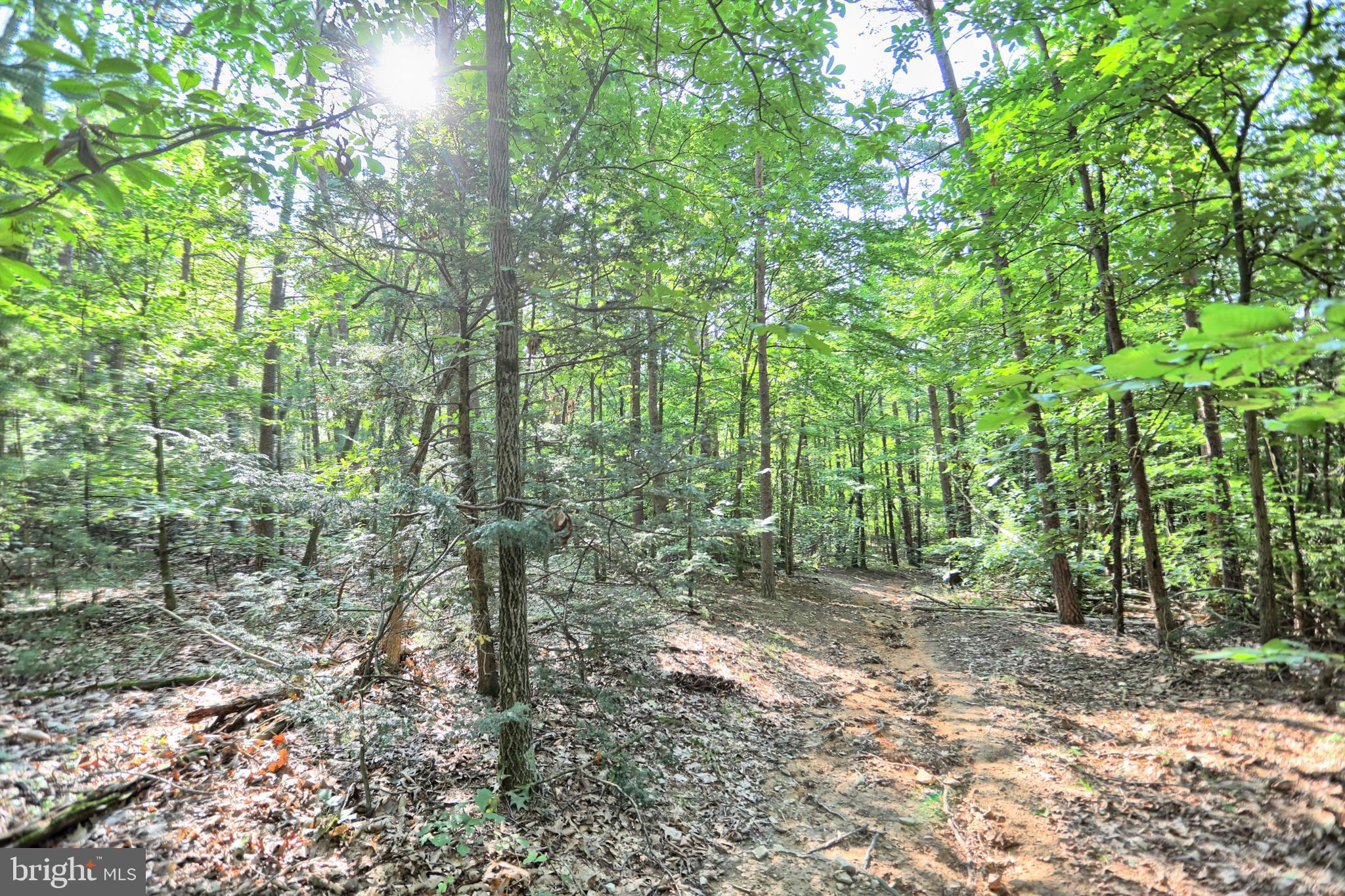 SAVILLE TOWNSHIP - Residential