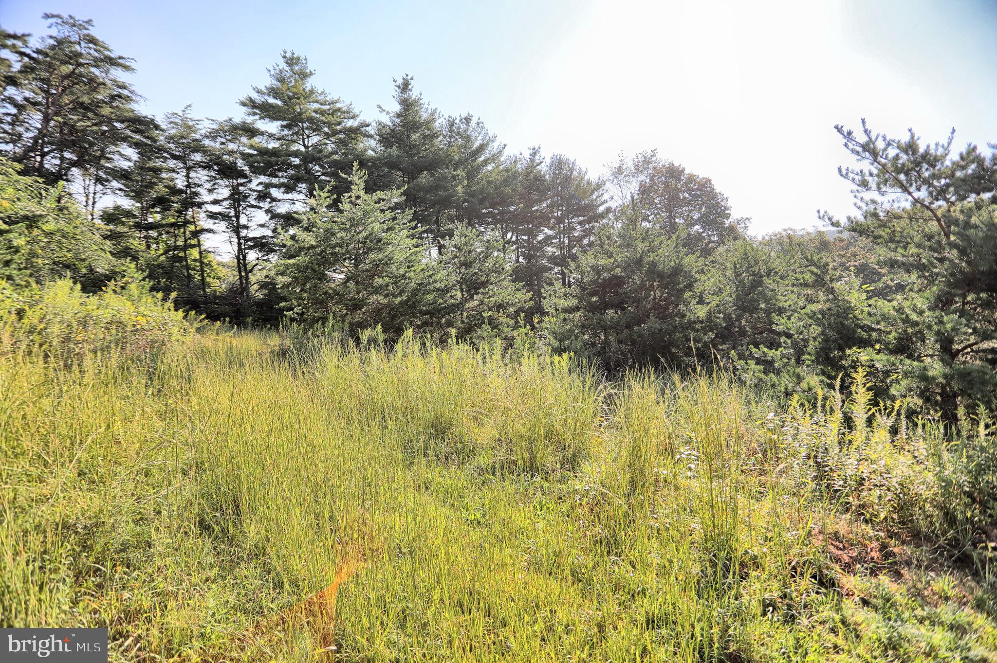 SAVILLE TOWNSHIP - Residential