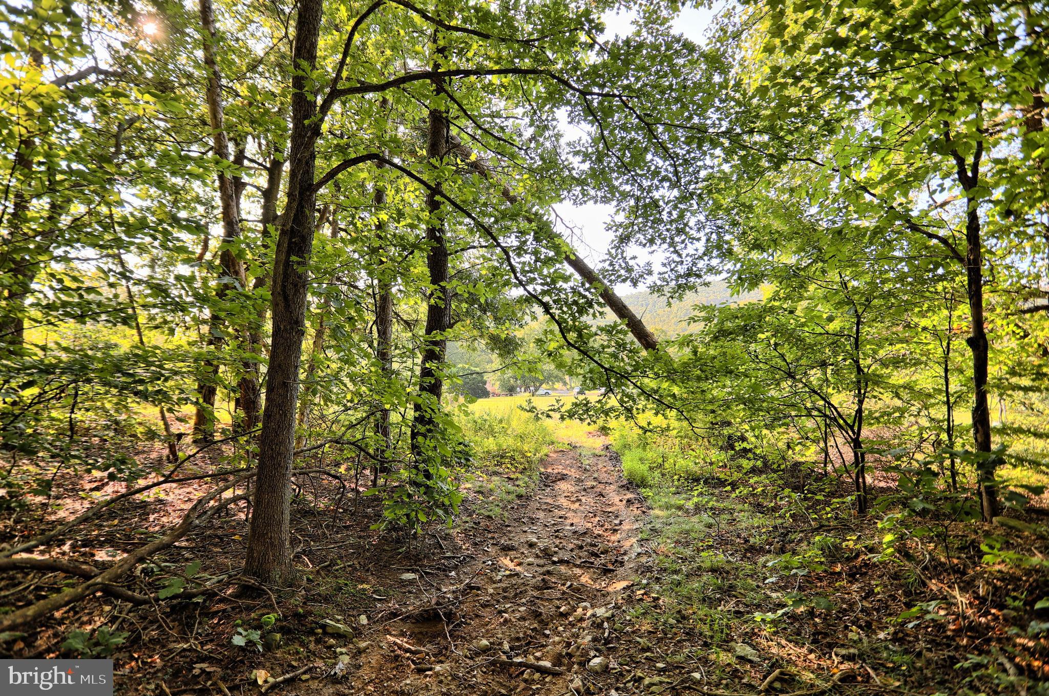 SAVILLE TOWNSHIP - Residential