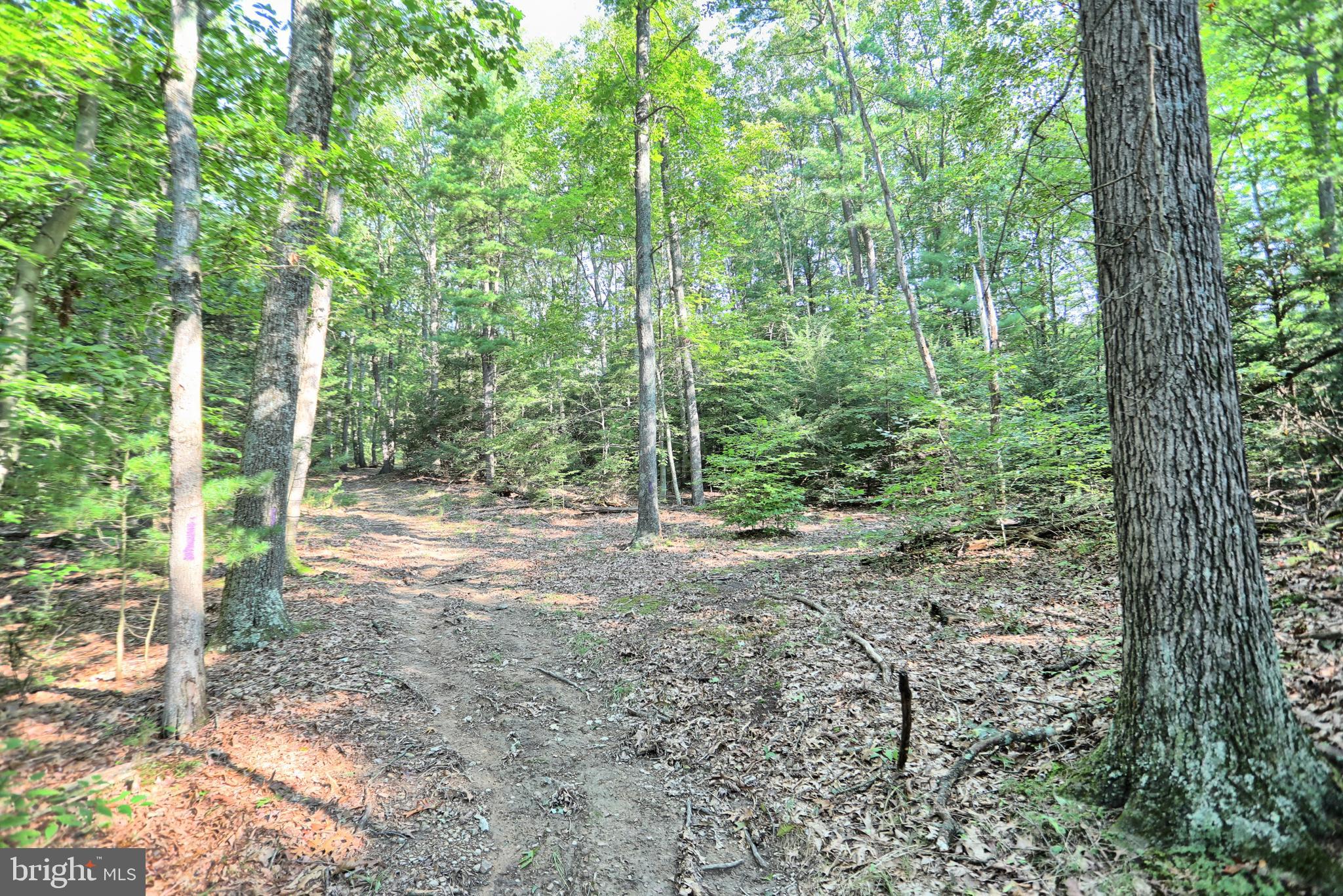 SAVILLE TOWNSHIP - Residential