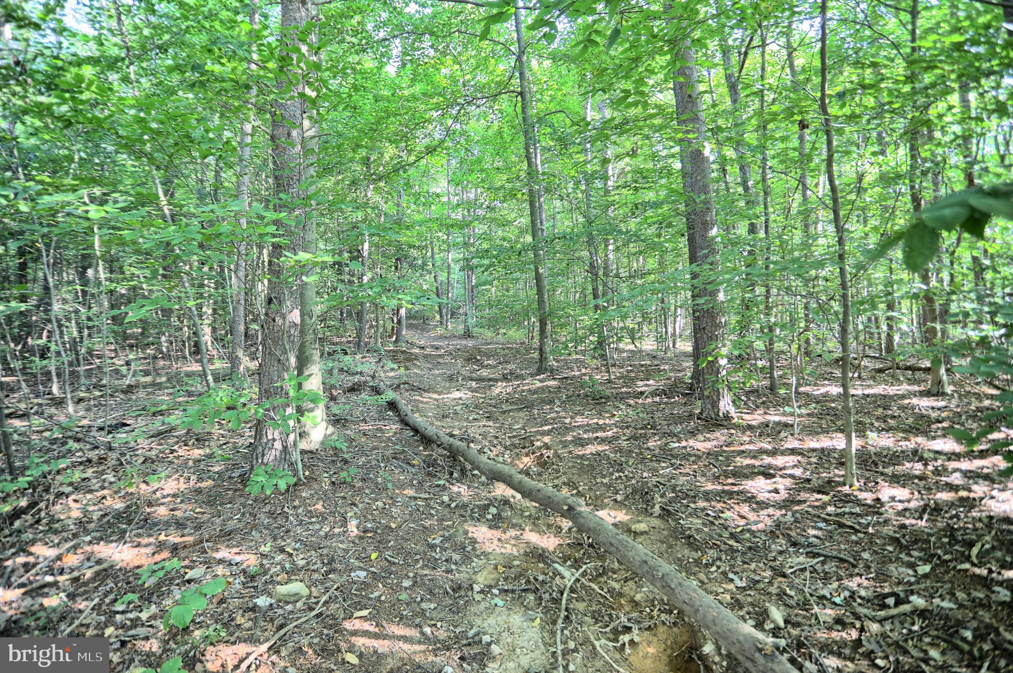 SAVILLE TOWNSHIP - Residential