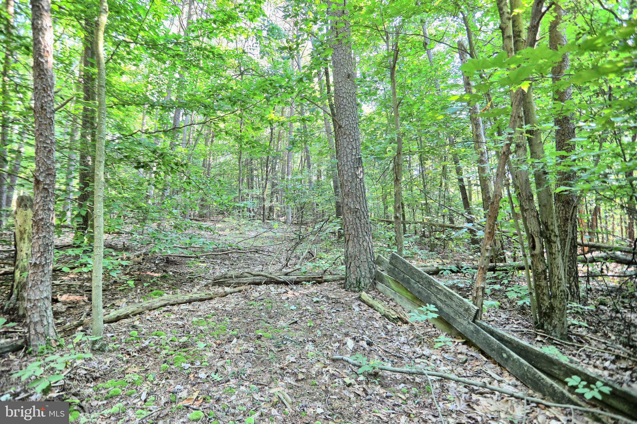 SAVILLE TOWNSHIP - Residential