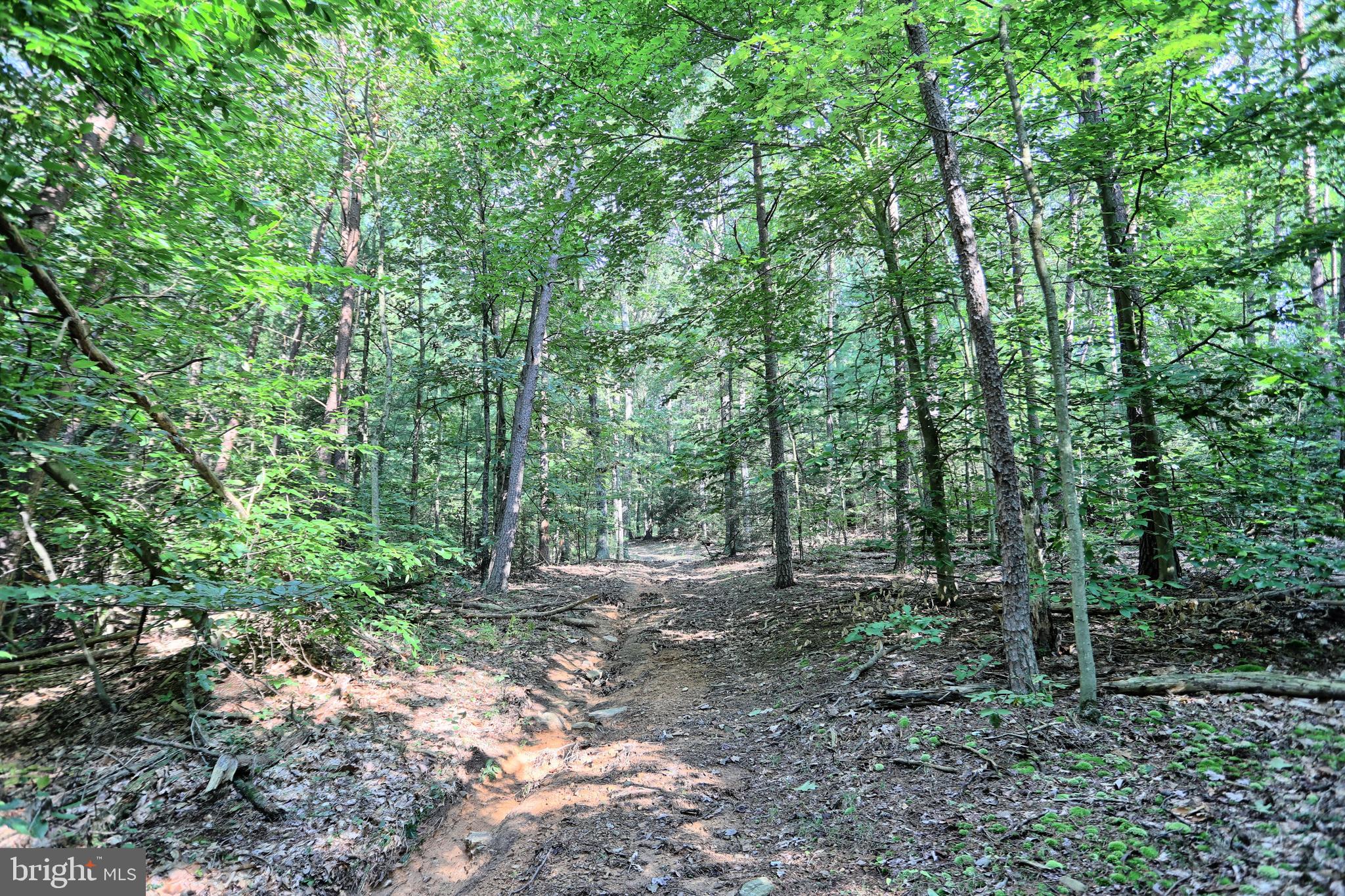 SAVILLE TOWNSHIP - Residential