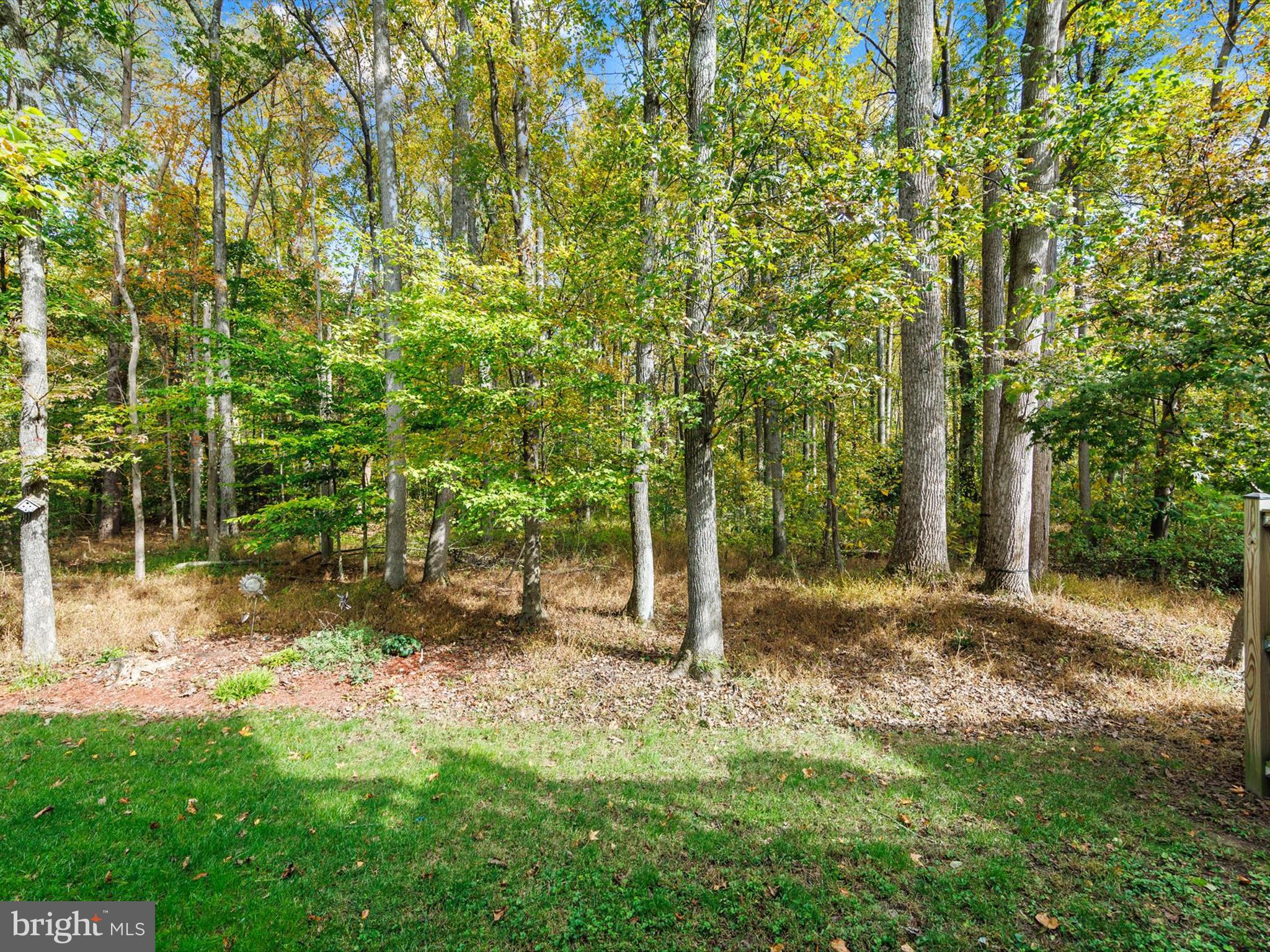 PINEY ORCHARD - Residential