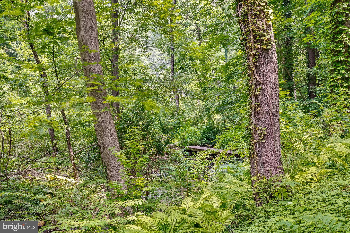 ROSE VALLEY - Residential