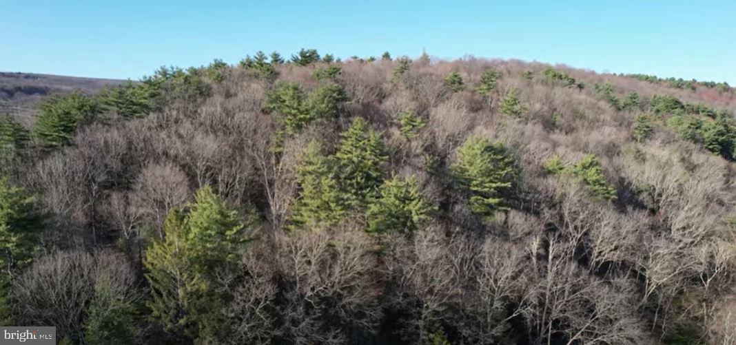 NEW MAHONING - Residential