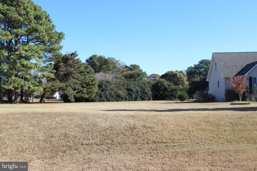 9/182 Cleared, oversized lot (13,826 sq ft). Lot has 3 BR Cert Letter & Survey on file, lot has water availability. This lot is in a highly sought after area of Captains Cove just a short distance to all the amenities. Buy now and build later, take advantage of this great buy! No time frame to build and no builder tie-in. Enjoy all the amenities and the lifestyle on the Eastern Shore of VA. Close to Chincoteague Island, Wallops Island and Ocean City MD. HOA amenities: Presitne 9 Hole Golf Course, indoor/outdoor pools (2), fitness center, basketball, tennis & pickle ball courts, boat ramp, docks, playground, walking & biking trails, dog park, security and so much more. Call today for more information.