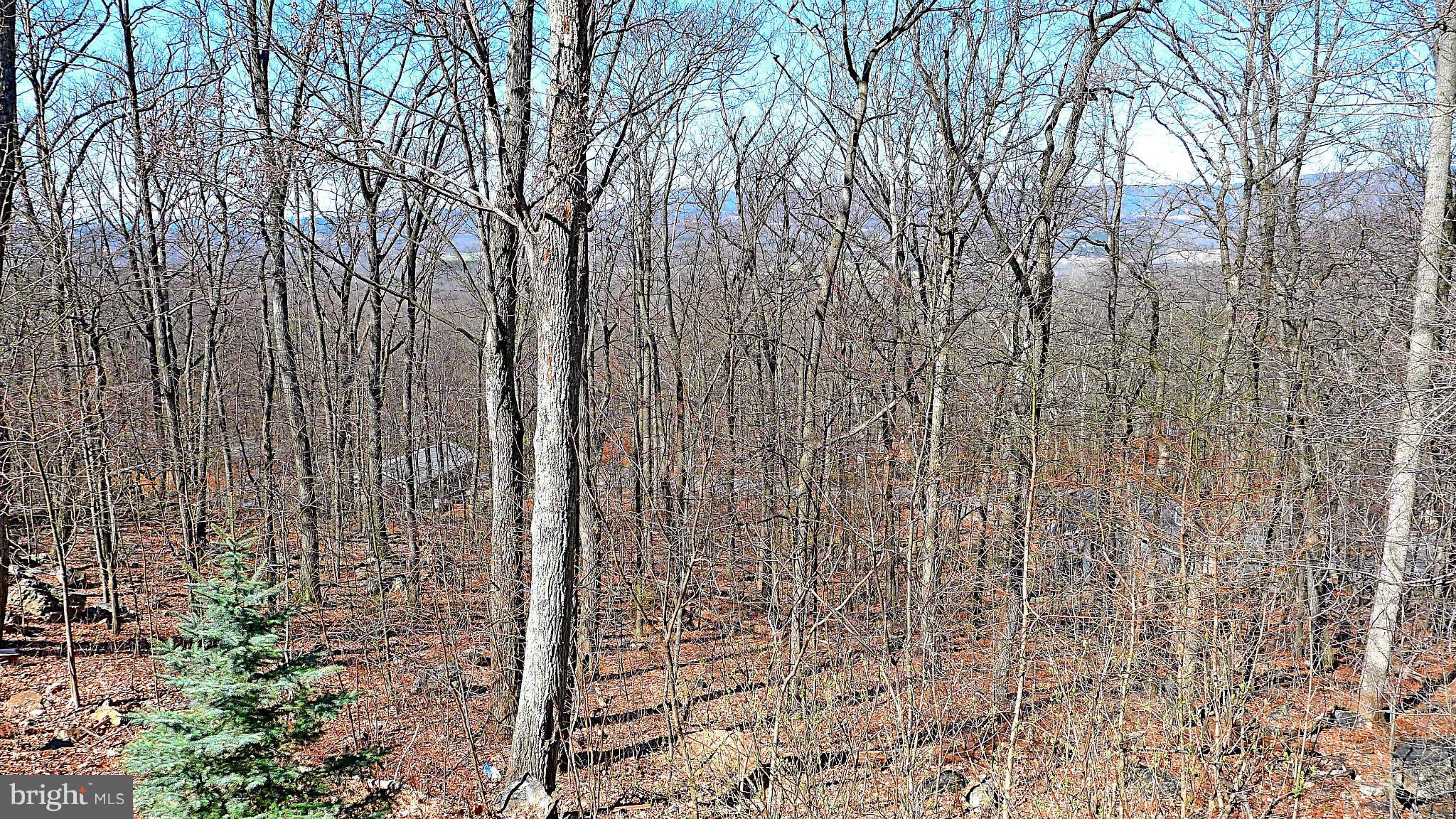 GLENWOOD FOREST - Residential