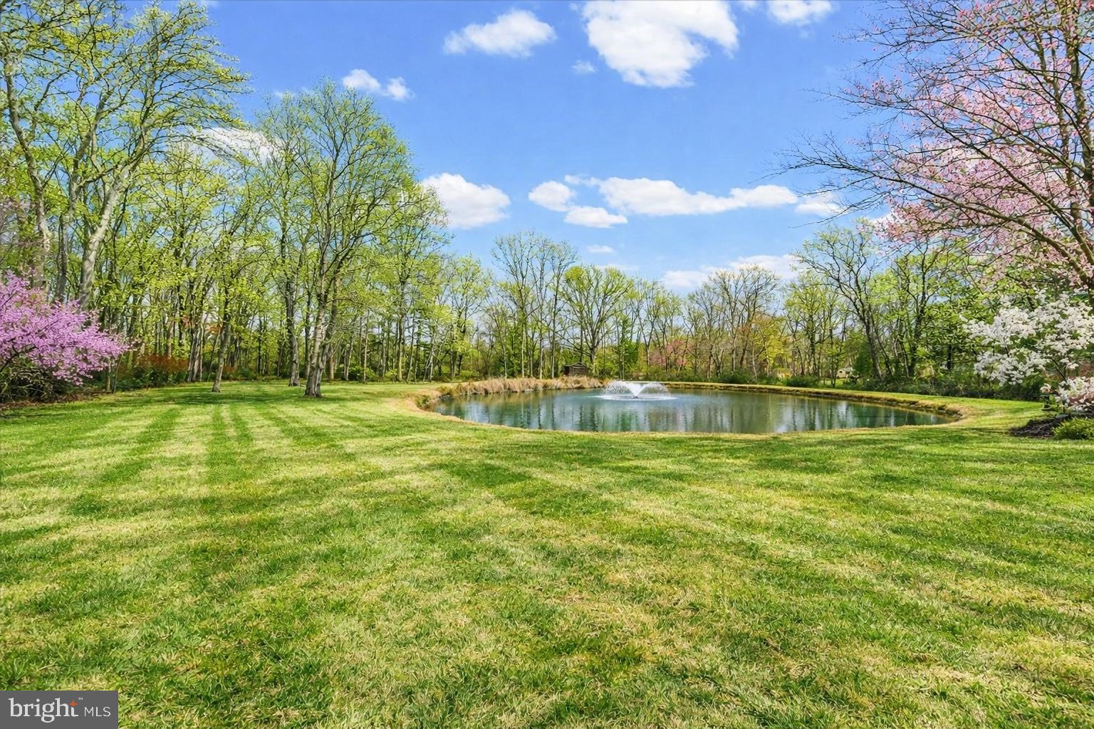 RADNOR HUNT - Residential