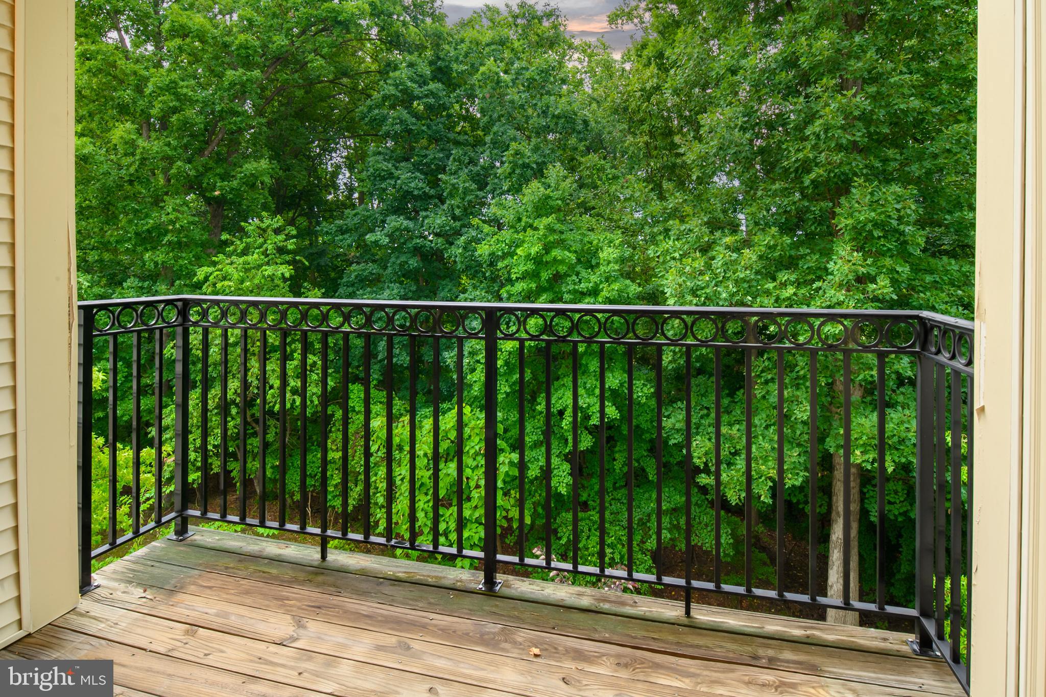 ENCLAVE AT ELLICOTT HILLS - Residential