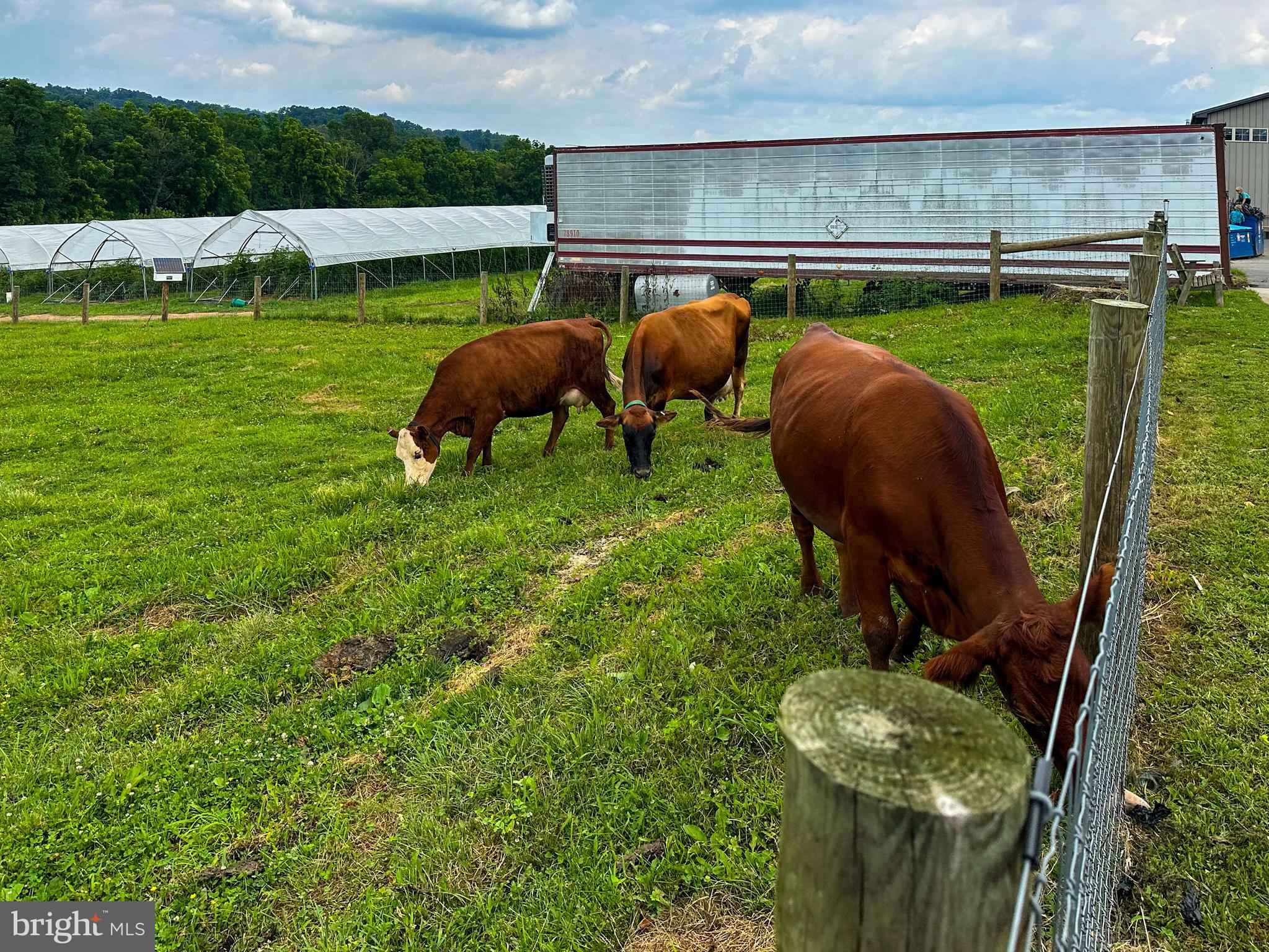 NONE AVAILABLE - Farm