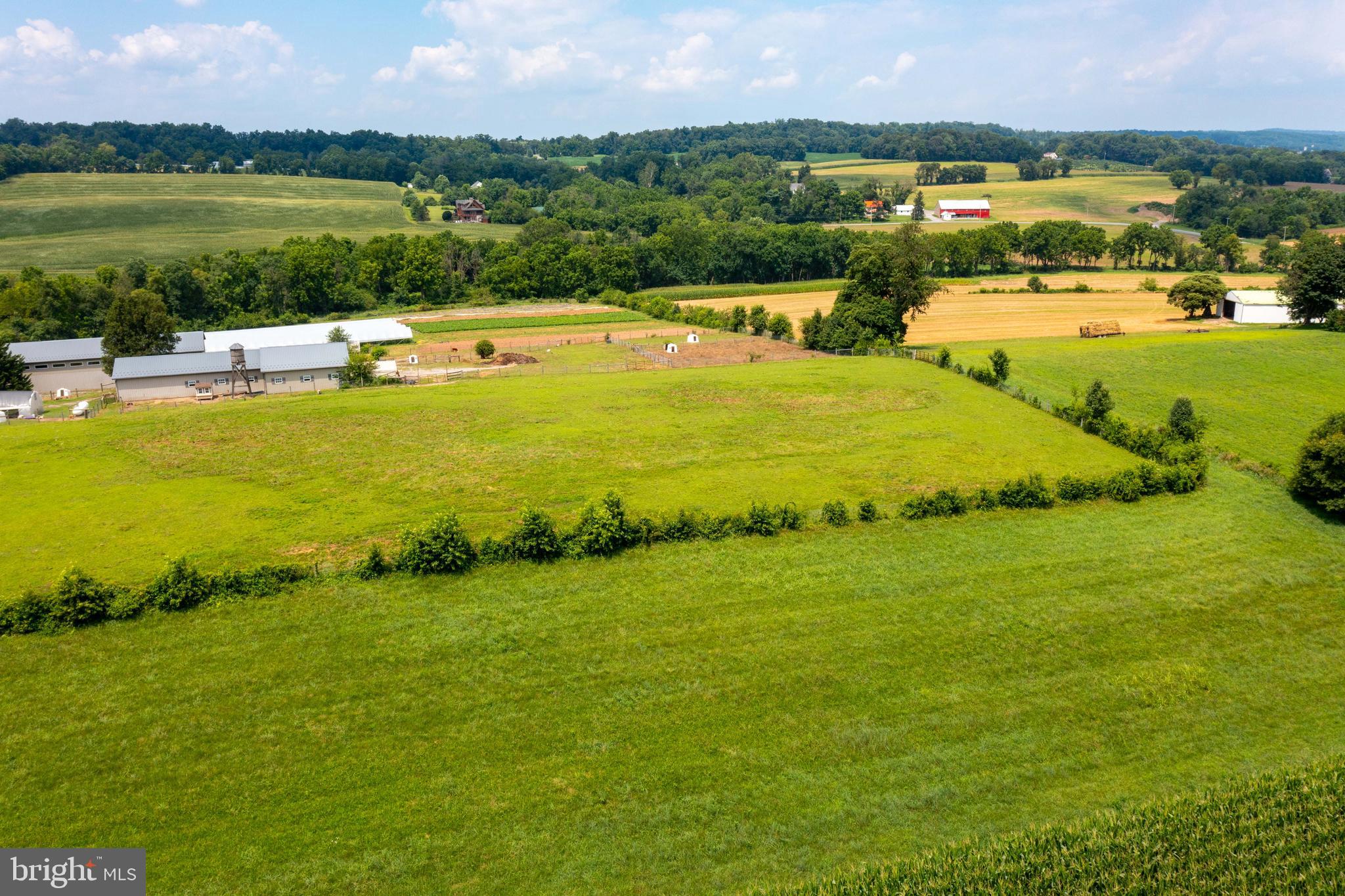 NONE AVAILABLE - Farm